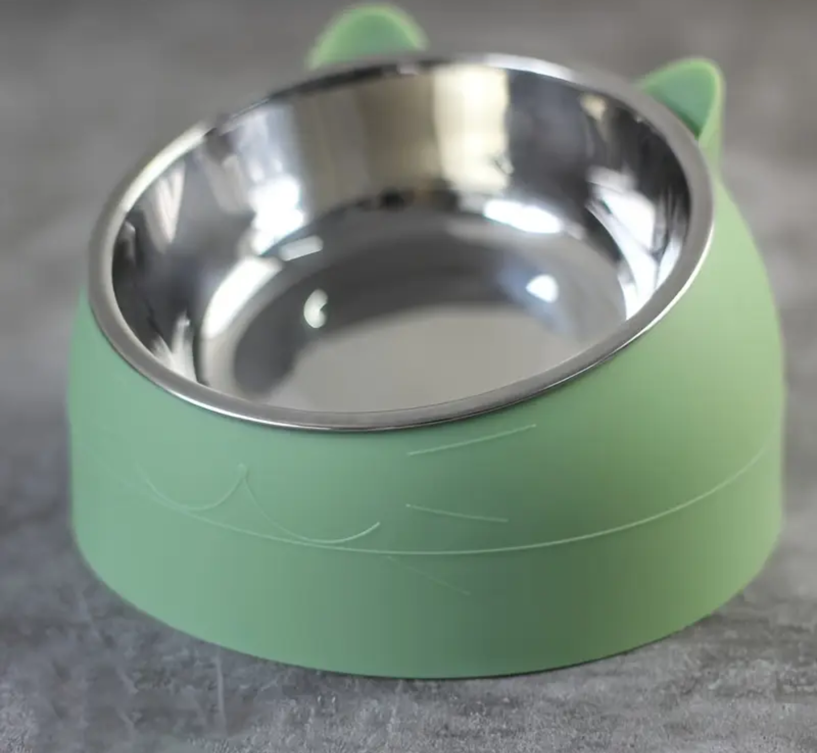 15° Elevated Stainless Steel Cat Bowl – Anti-Slip Tilted Food & Water Dish (100ml) for Neck Protection