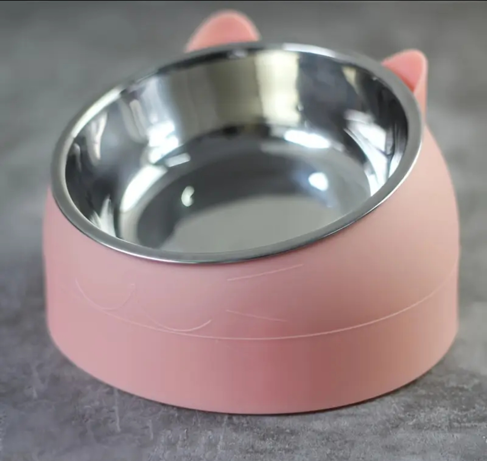 15° Elevated Stainless Steel Cat Bowl – Anti-Slip Tilted Food & Water Dish (100ml) for Neck Protection