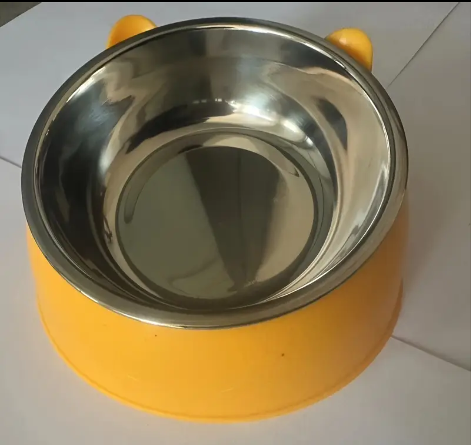 15° Elevated Stainless Steel Cat Bowl – Anti-Slip Tilted Food & Water Dish (100ml) for Neck Protection