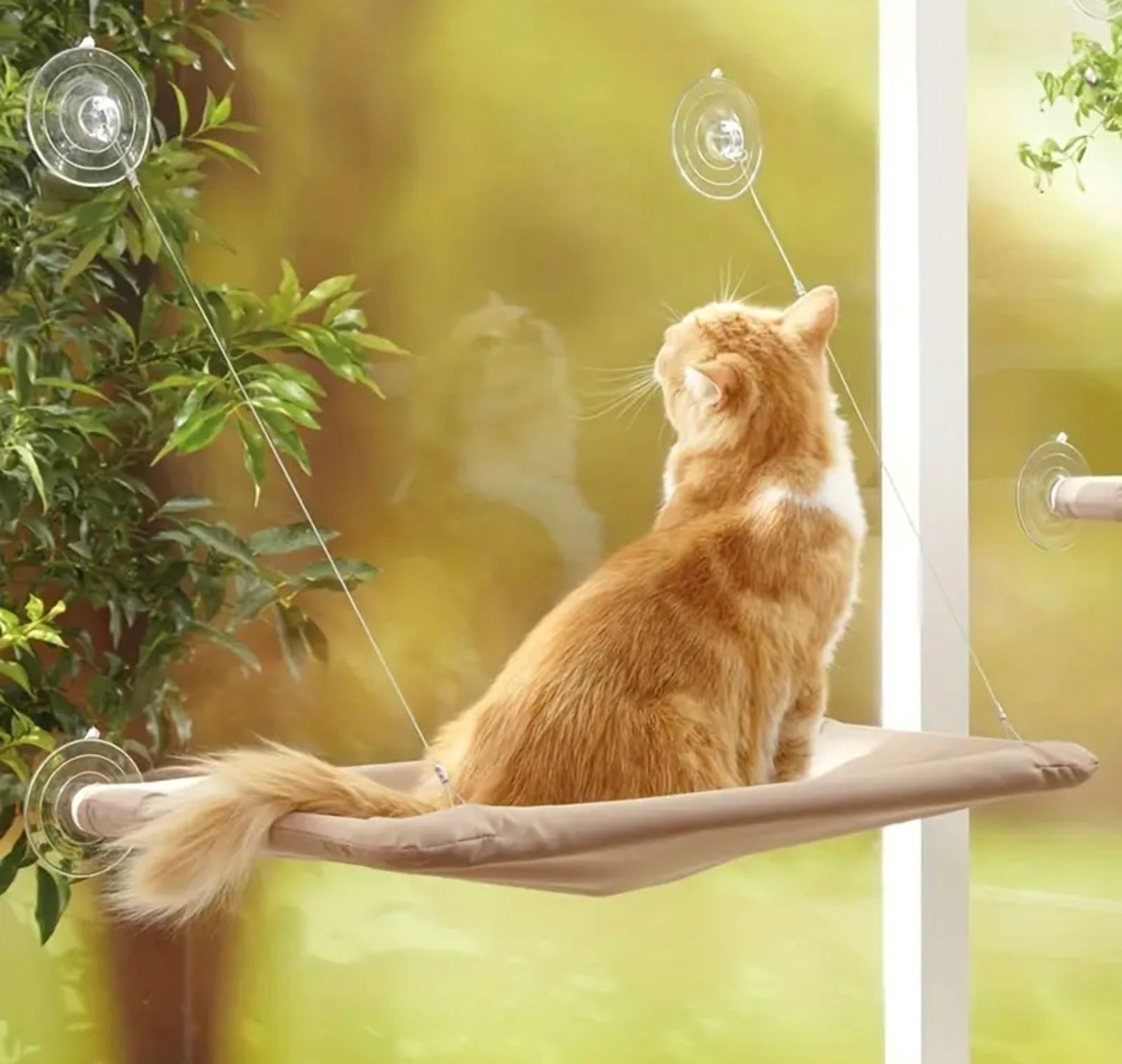 Cozy Window-Mounted Cat Hammock – Comfortable Sunbathing Bed for Cats