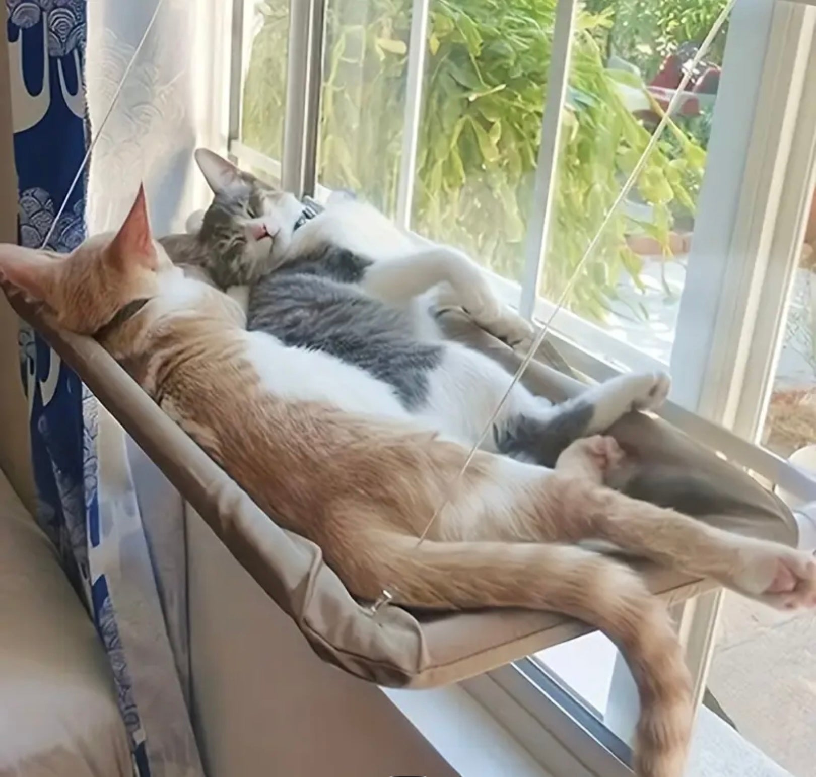 Cozy Window-Mounted Cat Hammock – Comfortable Sunbathing Bed for Cats