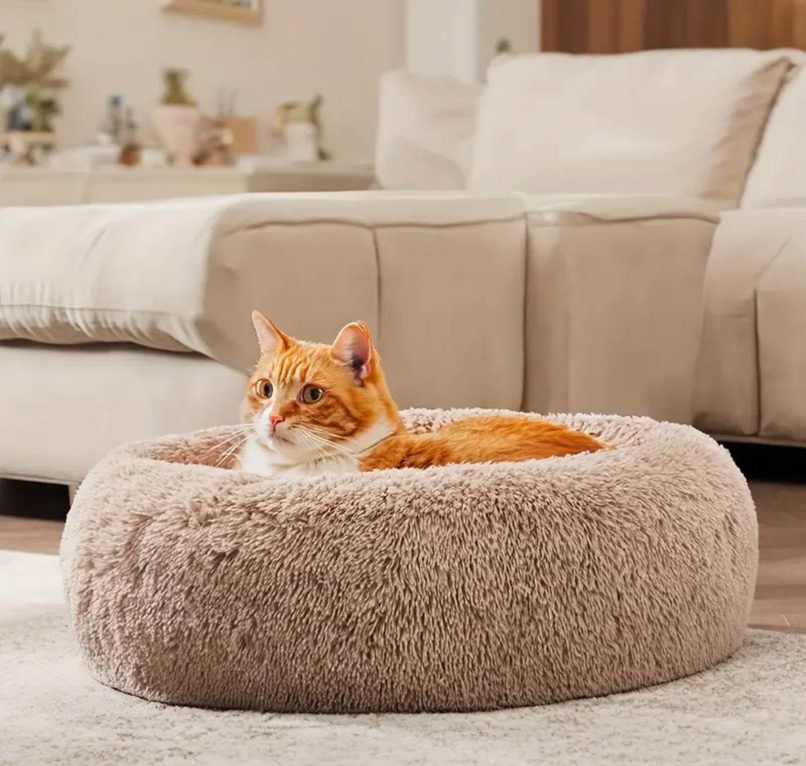 Cozy Donut Pet Bed – Soft Plush Round Bed for Small, Medium & Large Dogs and Cats (6 Sizes)