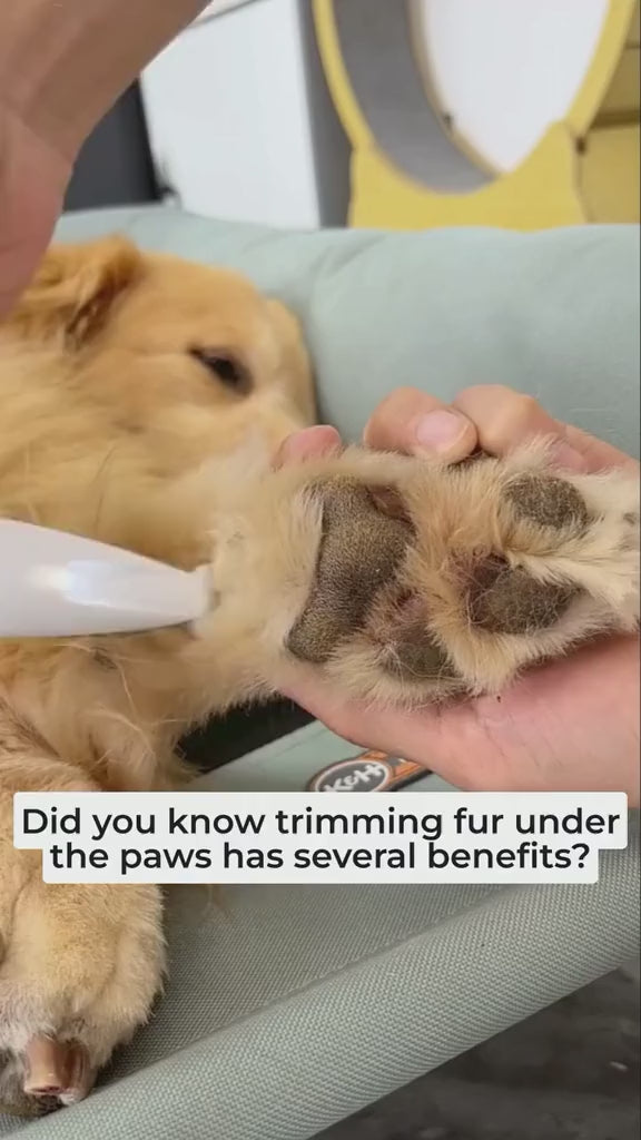 Cordless Dog Paw Trimmer – Low Noise Electric Grooming Clipper for Small Pets