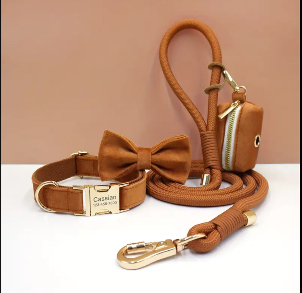 Velvet Elegance Set – Collar, Harness & Lead