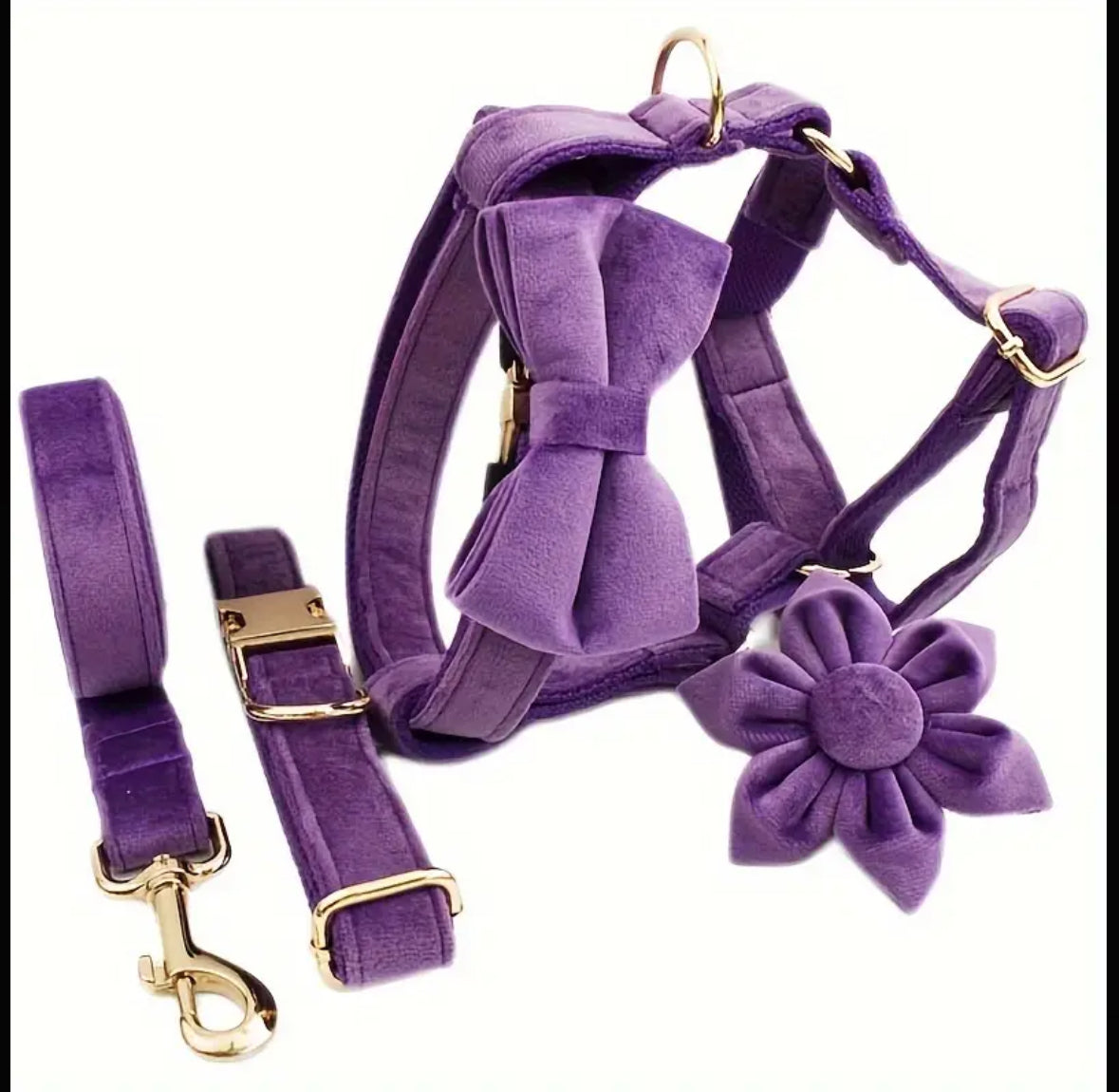 Velvet Elegance Set – Collar, Harness & Lead