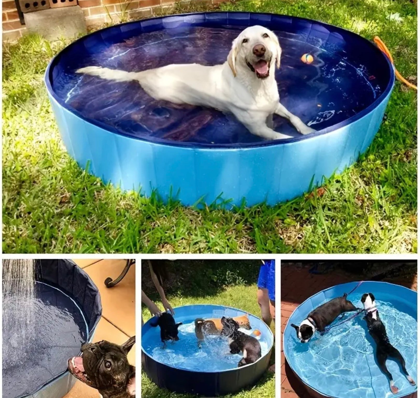 Portable Foldable Dog Bath Tub – Non-Slip Wash Basin for Indoor & Outdoor Use, Durable & Easy to Clean, Available in Red & Blue