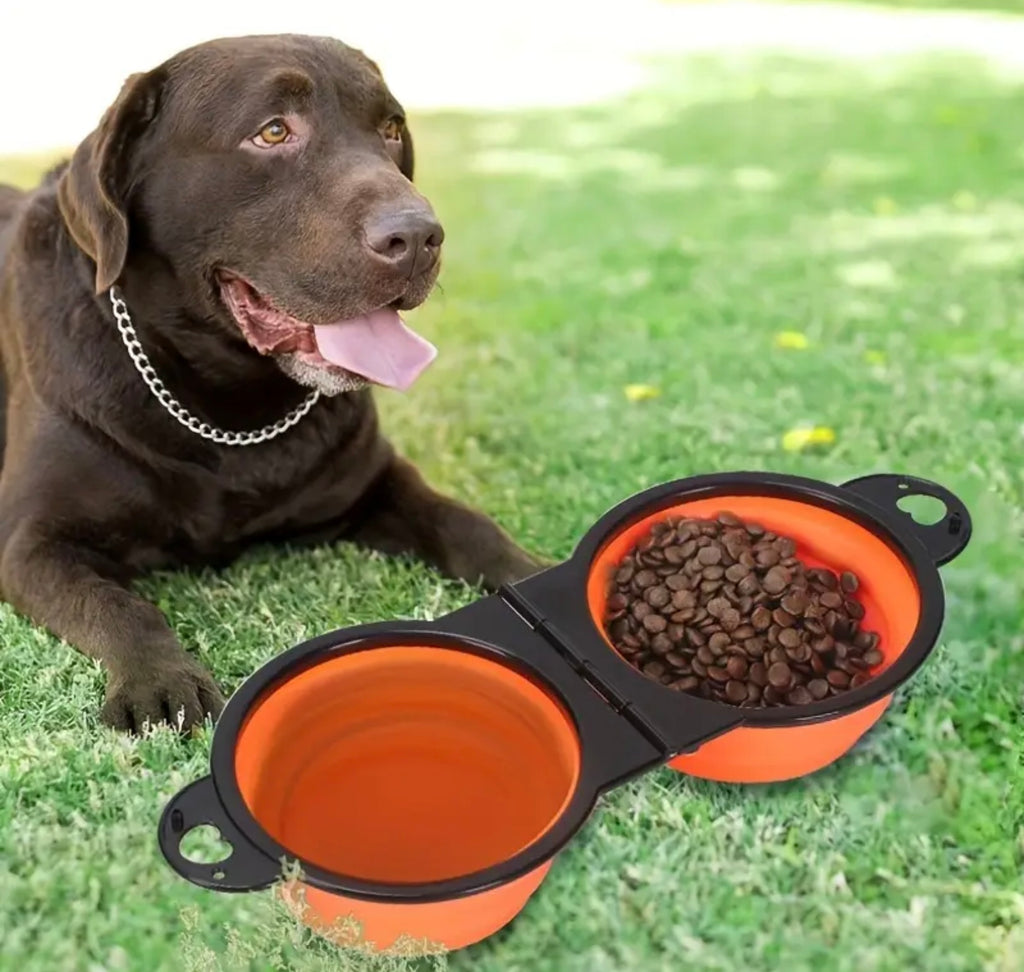 Portable Double Collapsible Pet Bowls – Travel Food & Water Bowls for Dogs and Cats, Ideal for Hiking, Camping & Outdoor Trips