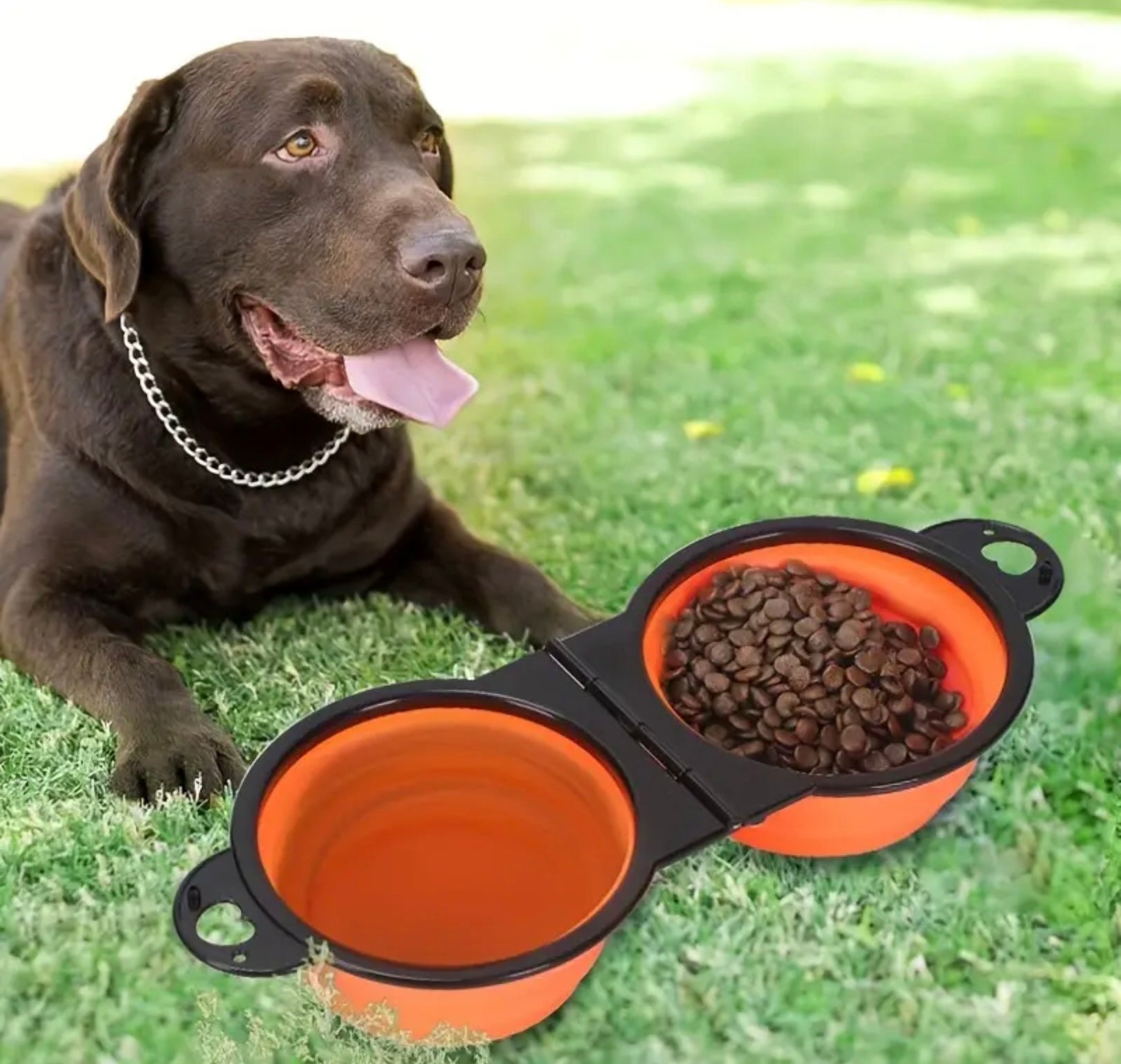 Portable Double Collapsible Pet Bowls – Travel Food & Water Bowls for Dogs and Cats, Ideal for Hiking, Camping & Outdoor Trips