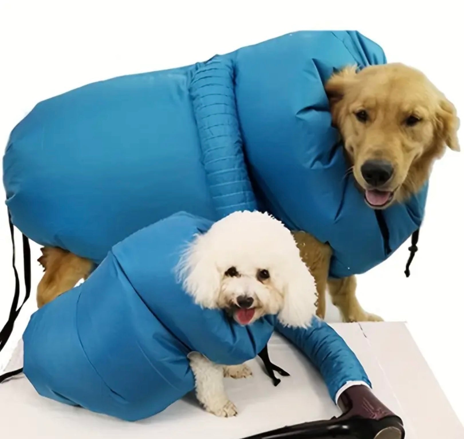 Foldable Pet Hair Dryer – Quick-Dry Blow Dryer for Dogs & Cats, Compact and Portable