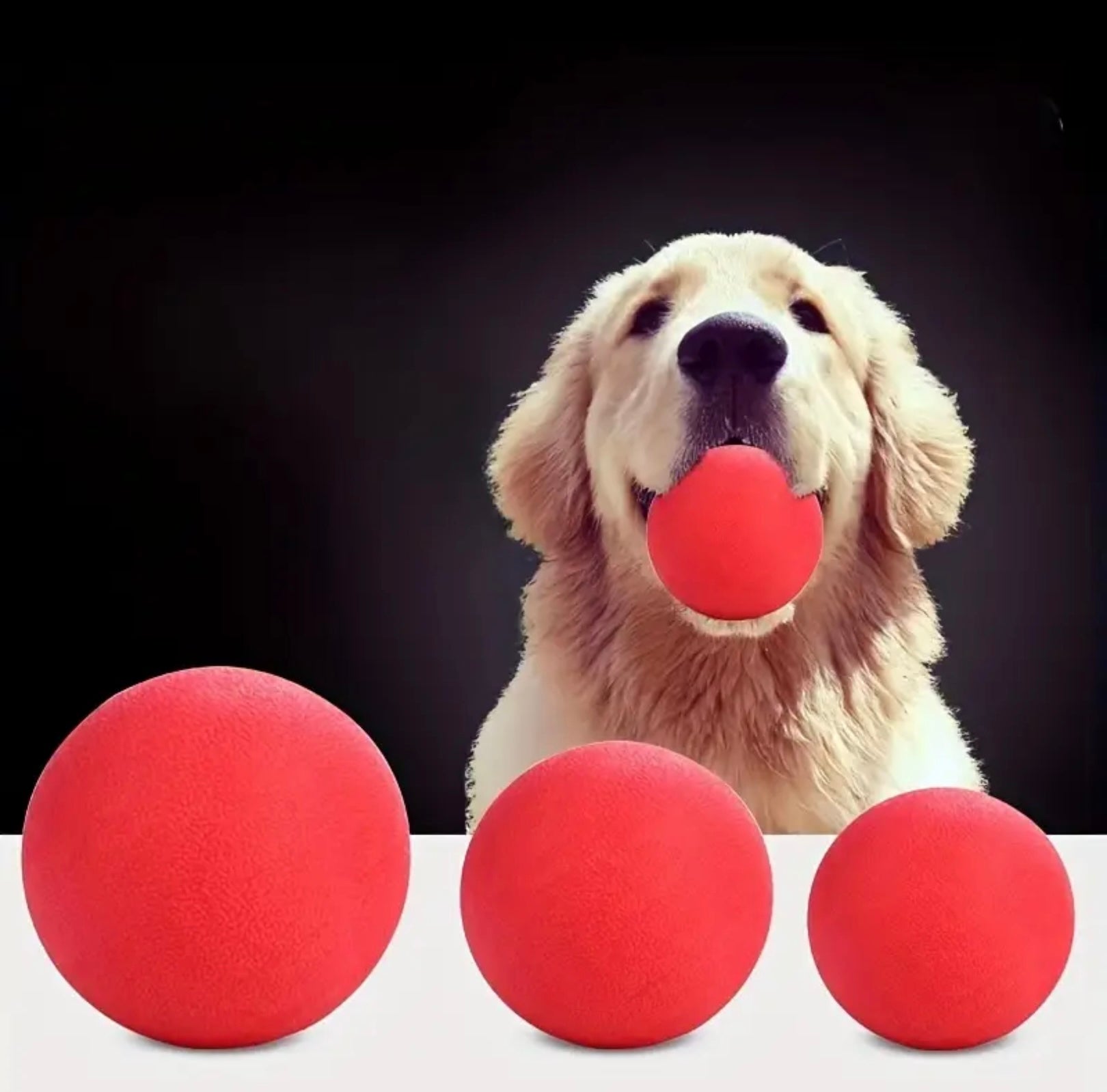 Indestructible Rubber Dog Ball – Dental Cleaning Toy for Active Chewers