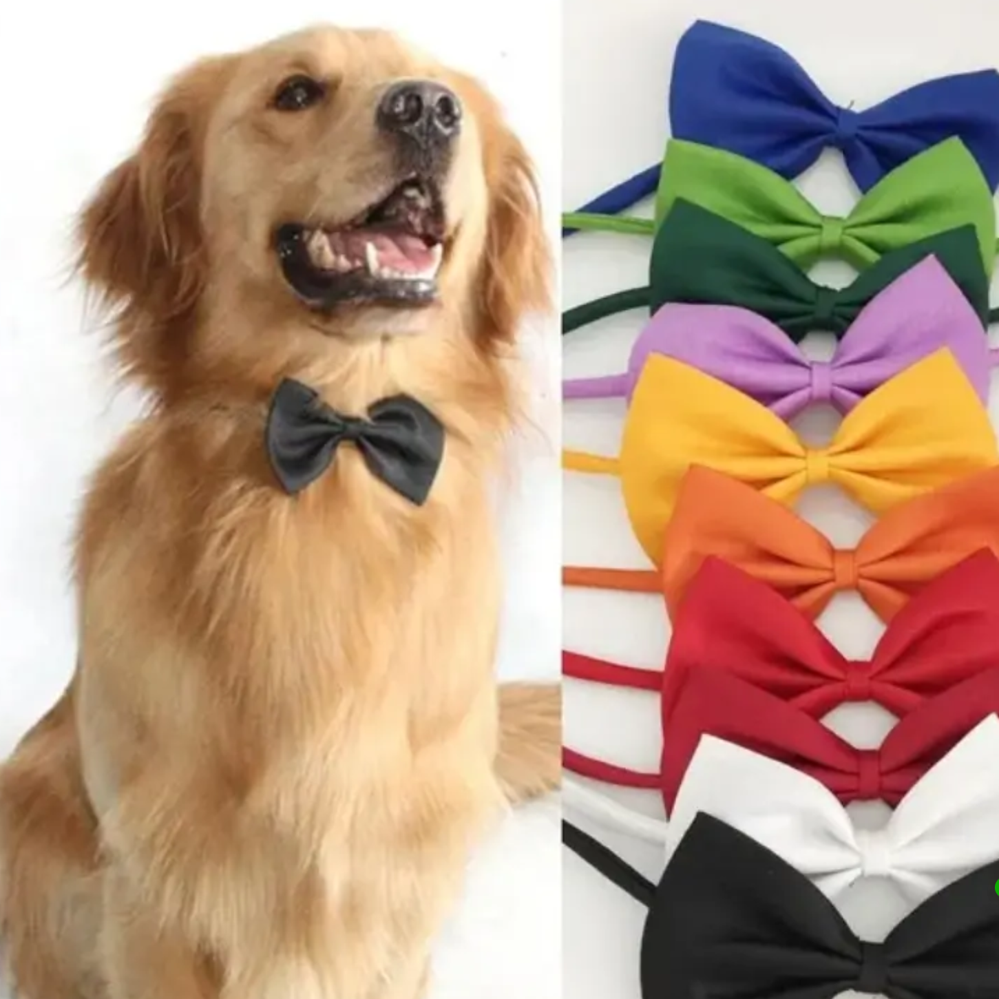 Adjustable Pet Collar with Bow – Durable Polyester for Cats & Dogs of All Sizes