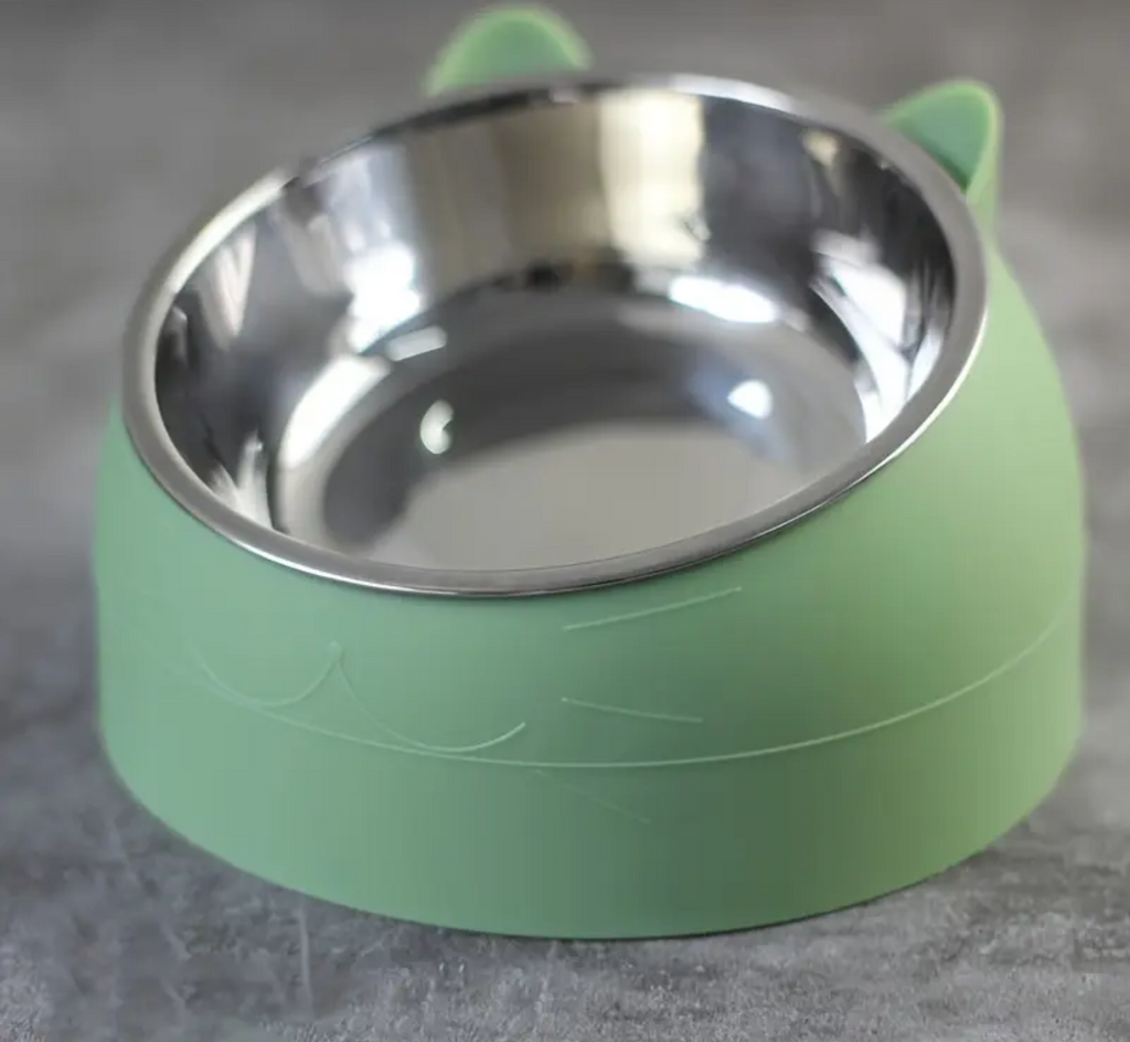 15° Elevated Stainless Steel Cat Bowl – Anti-Slip Tilted Food & Water Dish (100ml) for Neck Protection