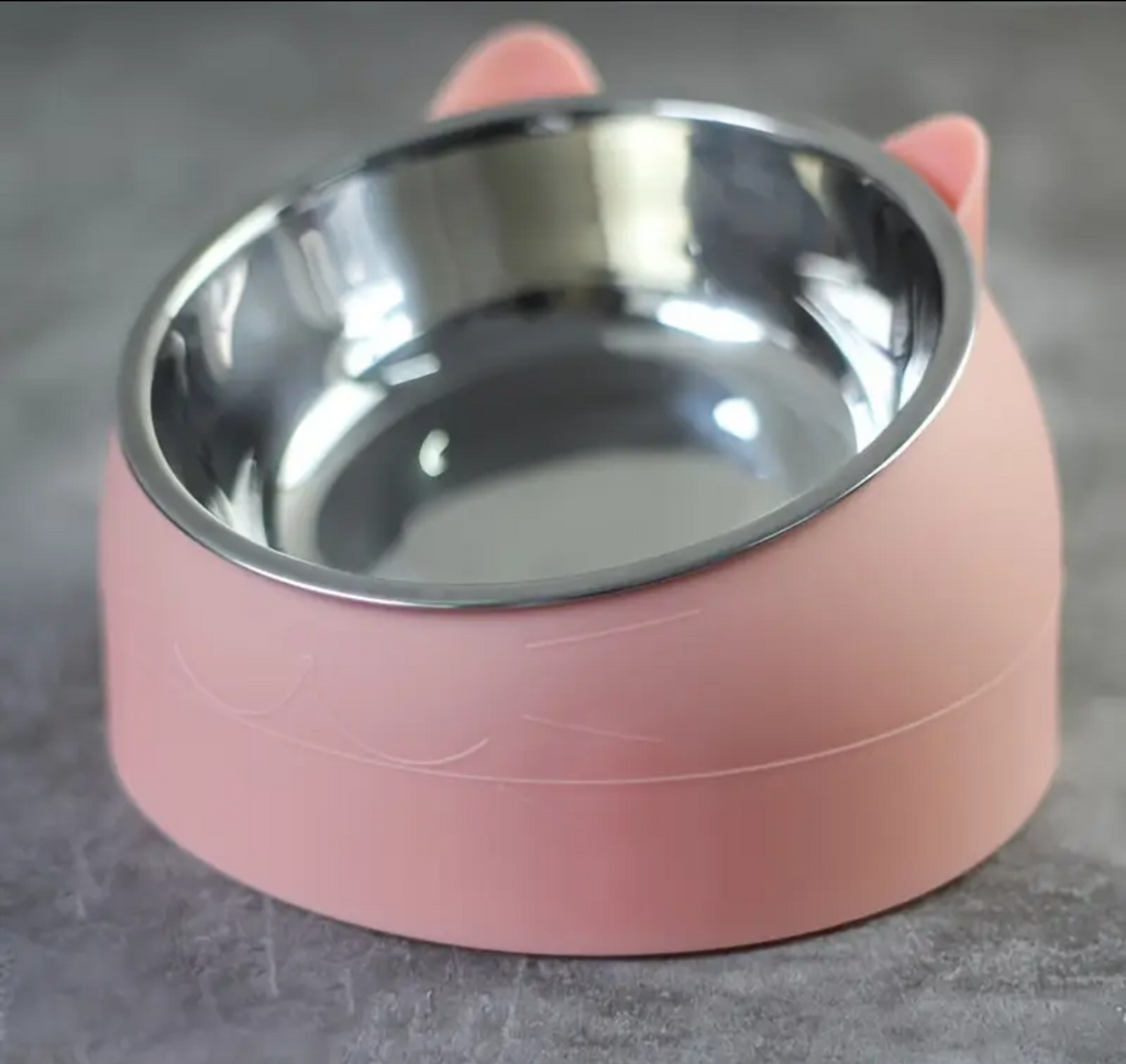15° Elevated Stainless Steel Cat Bowl – Anti-Slip Tilted Food & Water Dish (100ml) for Neck Protection