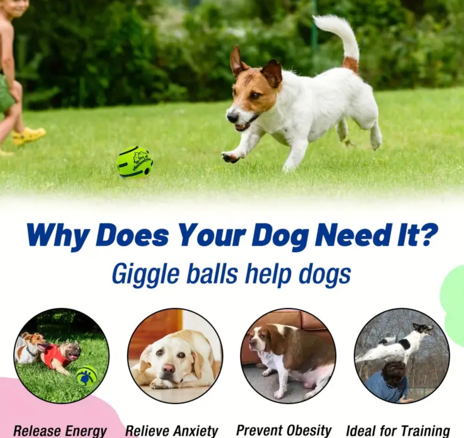 Interactive Voice Ball Toy for Pets – Battery-Free IQ Training Ball for Dogs