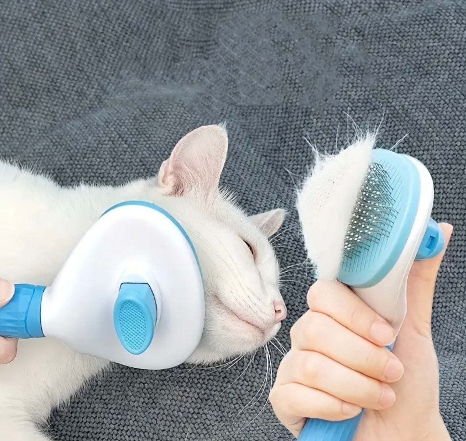 One-Click Pet Hair Remover Brush – Shedding Comb for Cats & Dogs with Stainless Steel Needle Pins