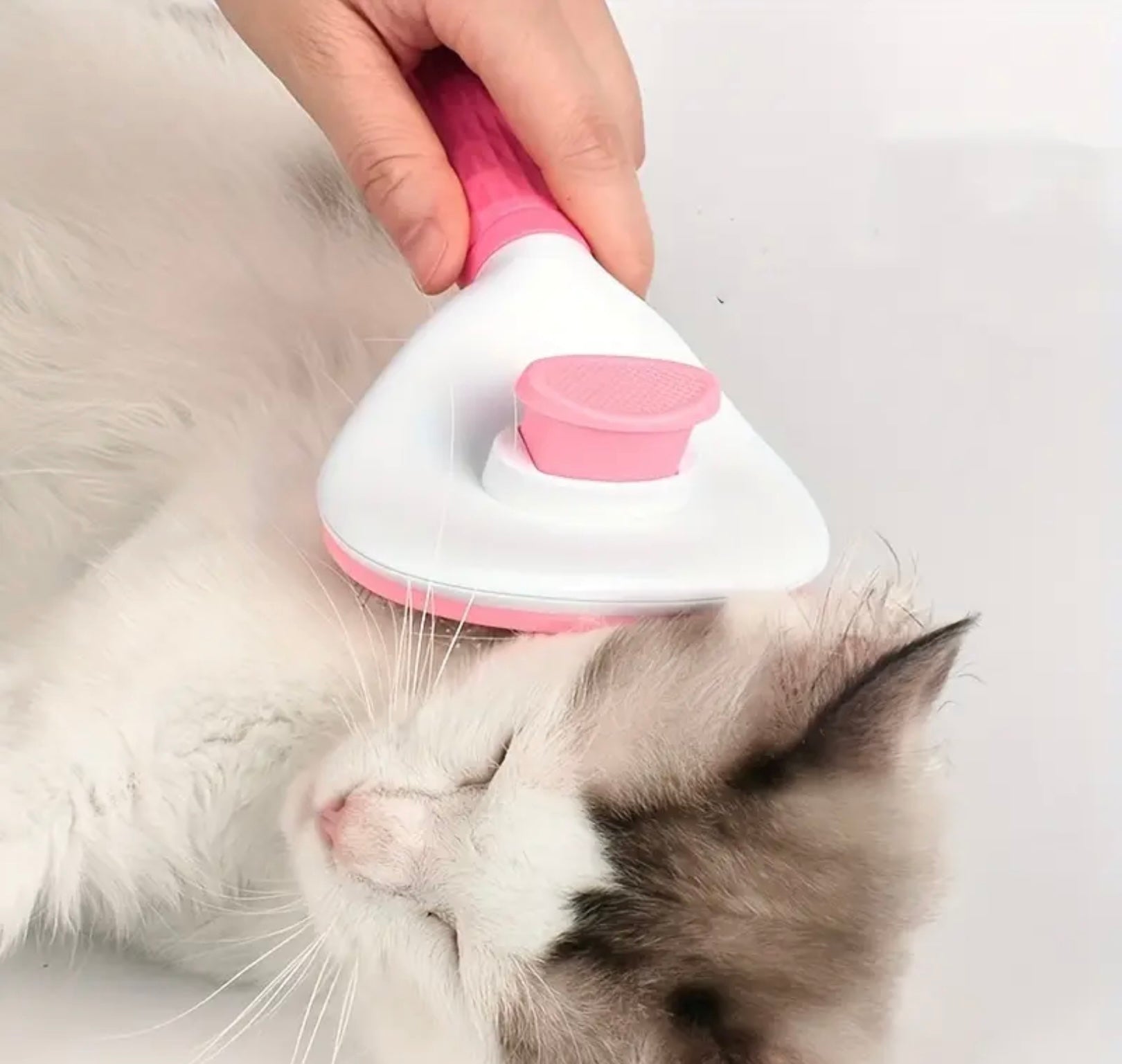 One-Click Pet Hair Remover Brush – Shedding Comb for Cats & Dogs with Stainless Steel Needle Pins