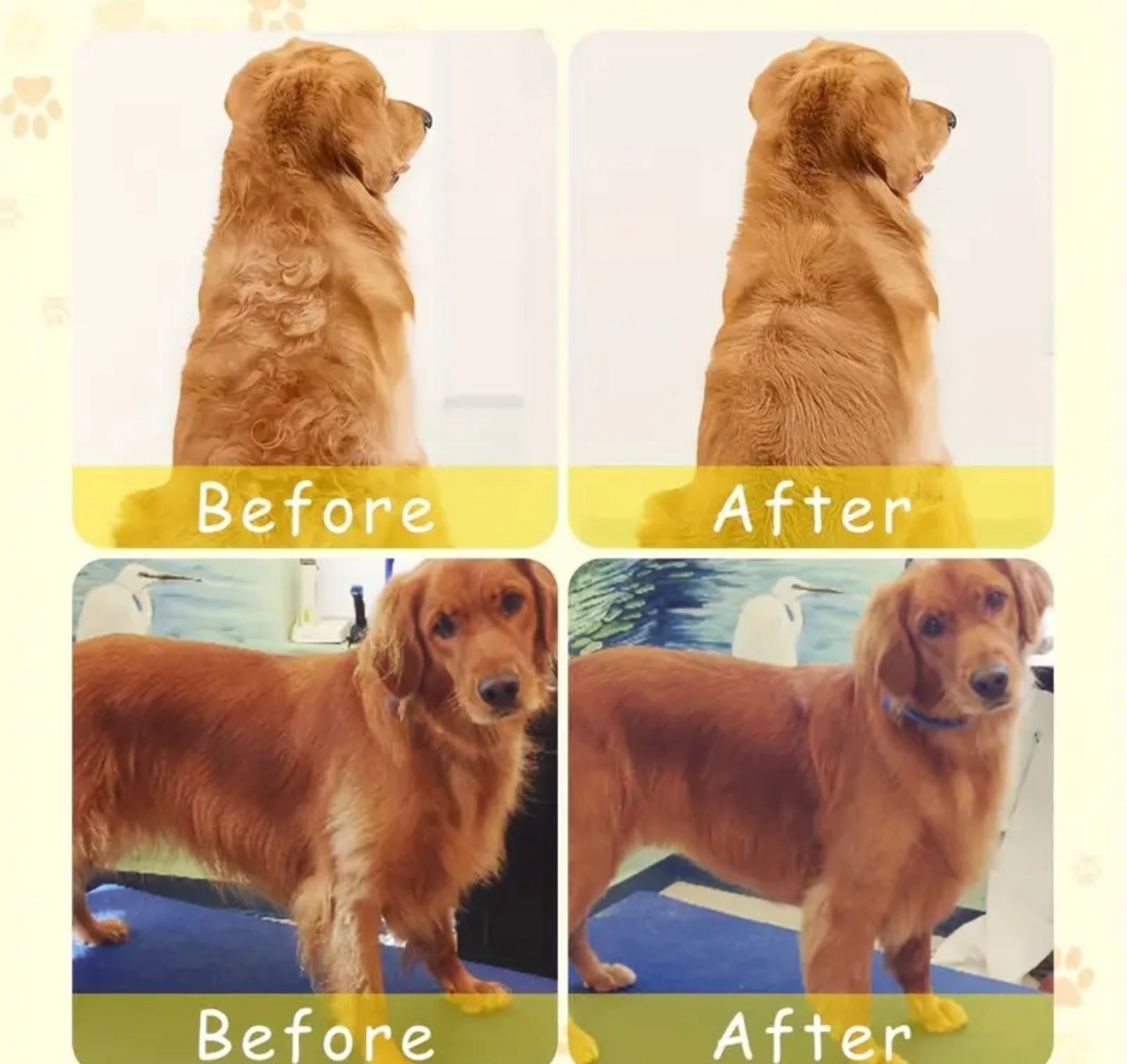 Electric Pet Grooming Brush – Hair Removal & Massage Tool for Cats and Dogs