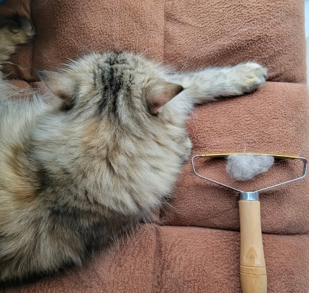 Effective Pet Hair Remover Brush – Gently De-Sheds Fur & Keeps Your Home Clean