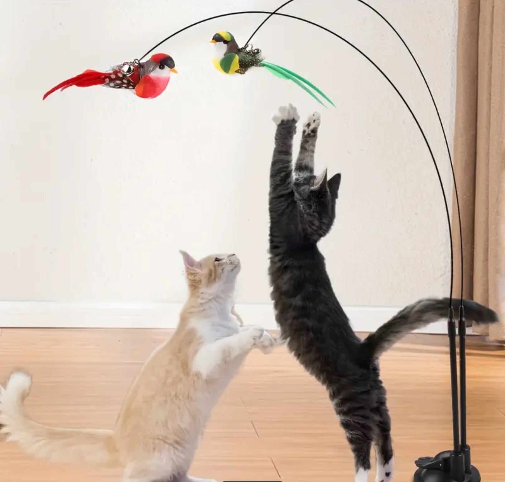 Interactive Cat Wand Toy Set with Realistic Birds – Hands-Free Dual Rod, Bell & Suction Base for Active Play and Hunting Training