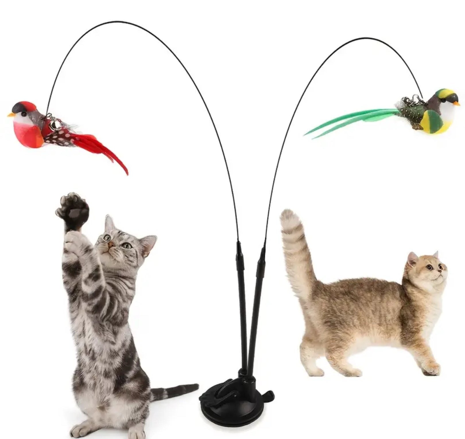 Interactive Cat Wand Toy Set with Realistic Birds – Hands-Free Dual Rod, Bell & Suction Base for Active Play and Hunting Training