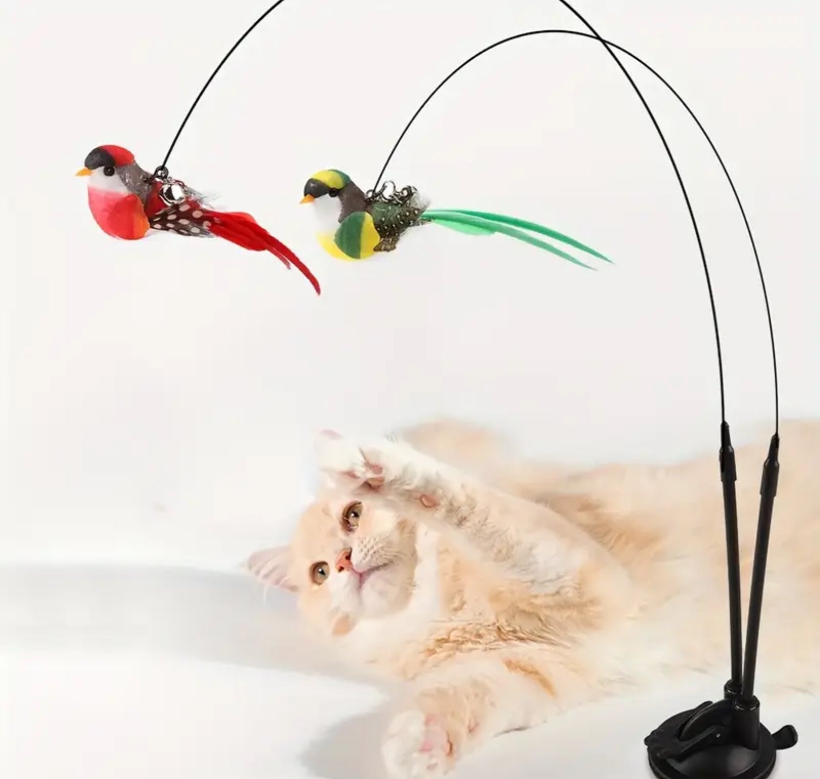 Interactive Cat Wand Toy Set with Realistic Birds – Hands-Free Dual Rod, Bell & Suction Base for Active Play and Hunting Training