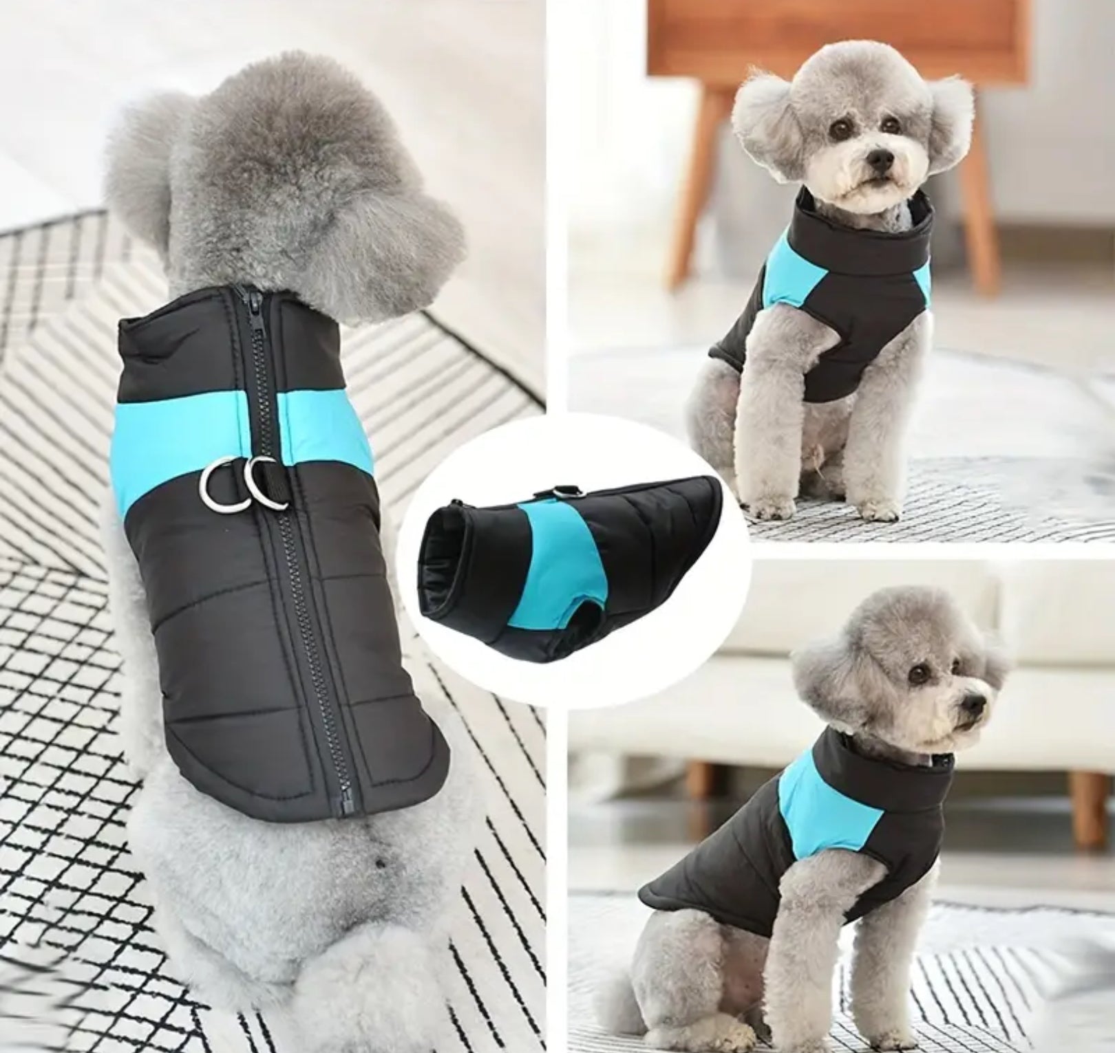 Winter Pet Dress Coat – Warm & Stylish Outfit for Dogs and Cats