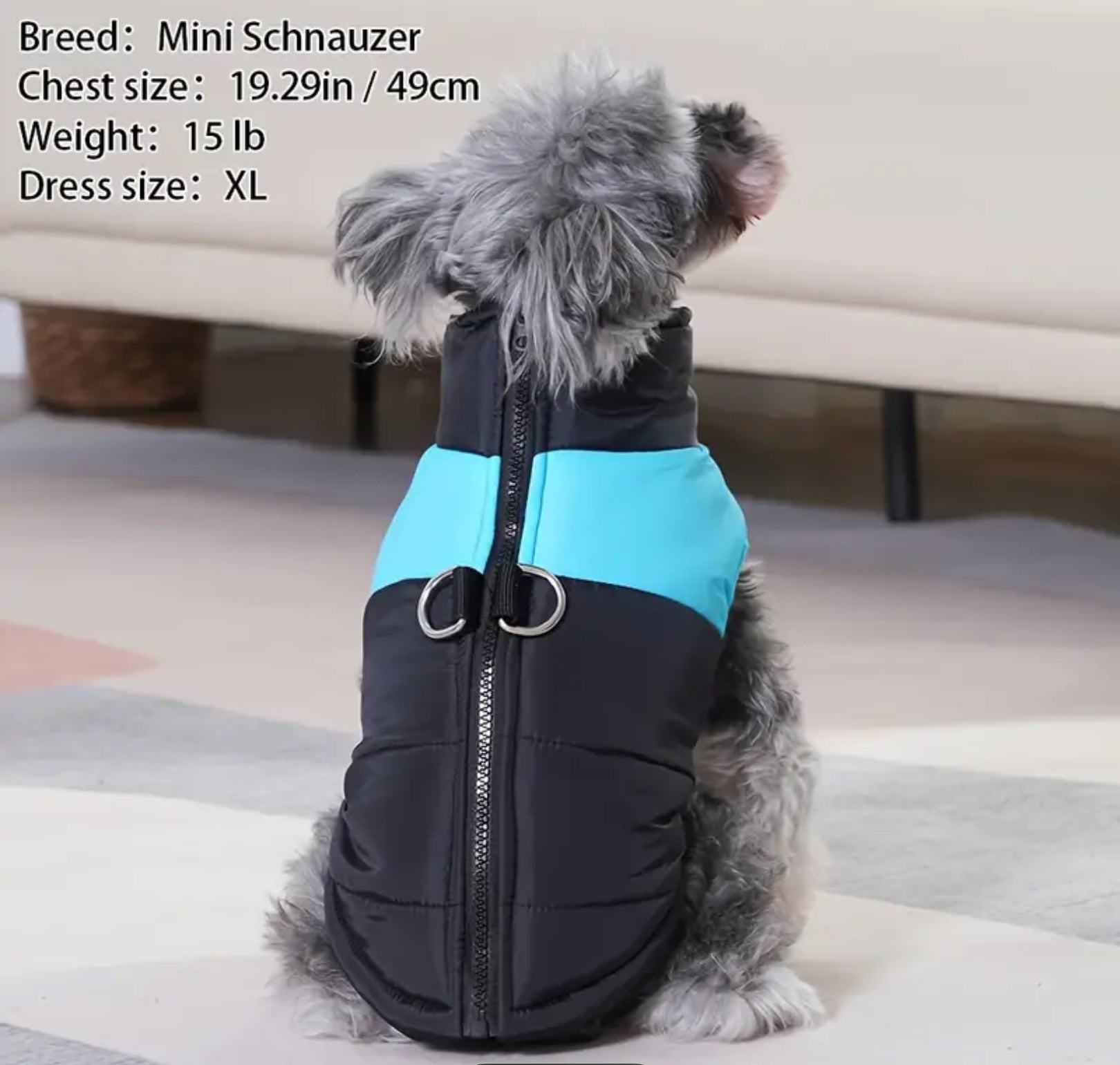 Winter Pet Dress Coat – Warm & Stylish Outfit for Dogs and Cats