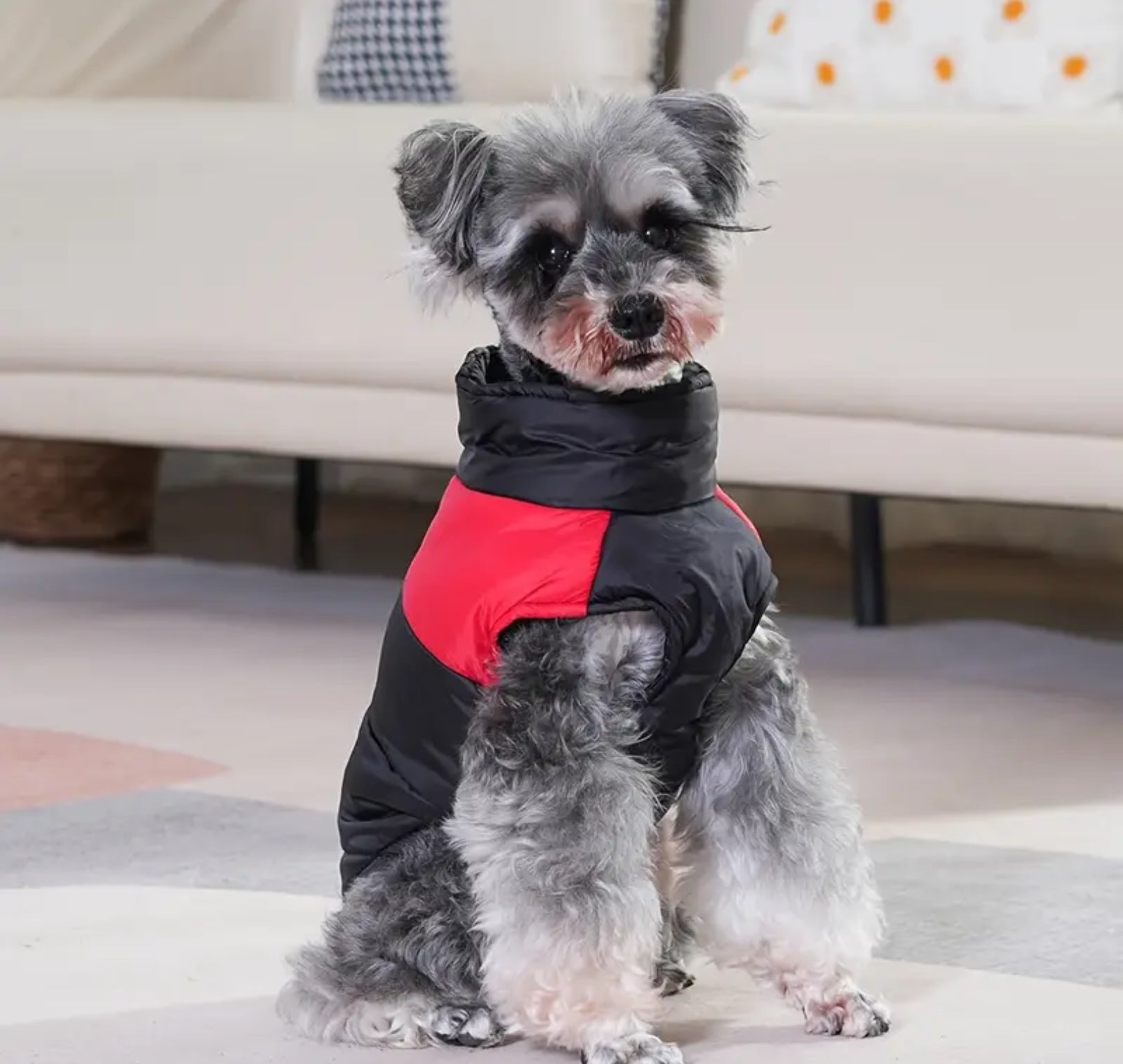 Winter Pet Dress Coat – Warm & Stylish Outfit for Dogs and Cats