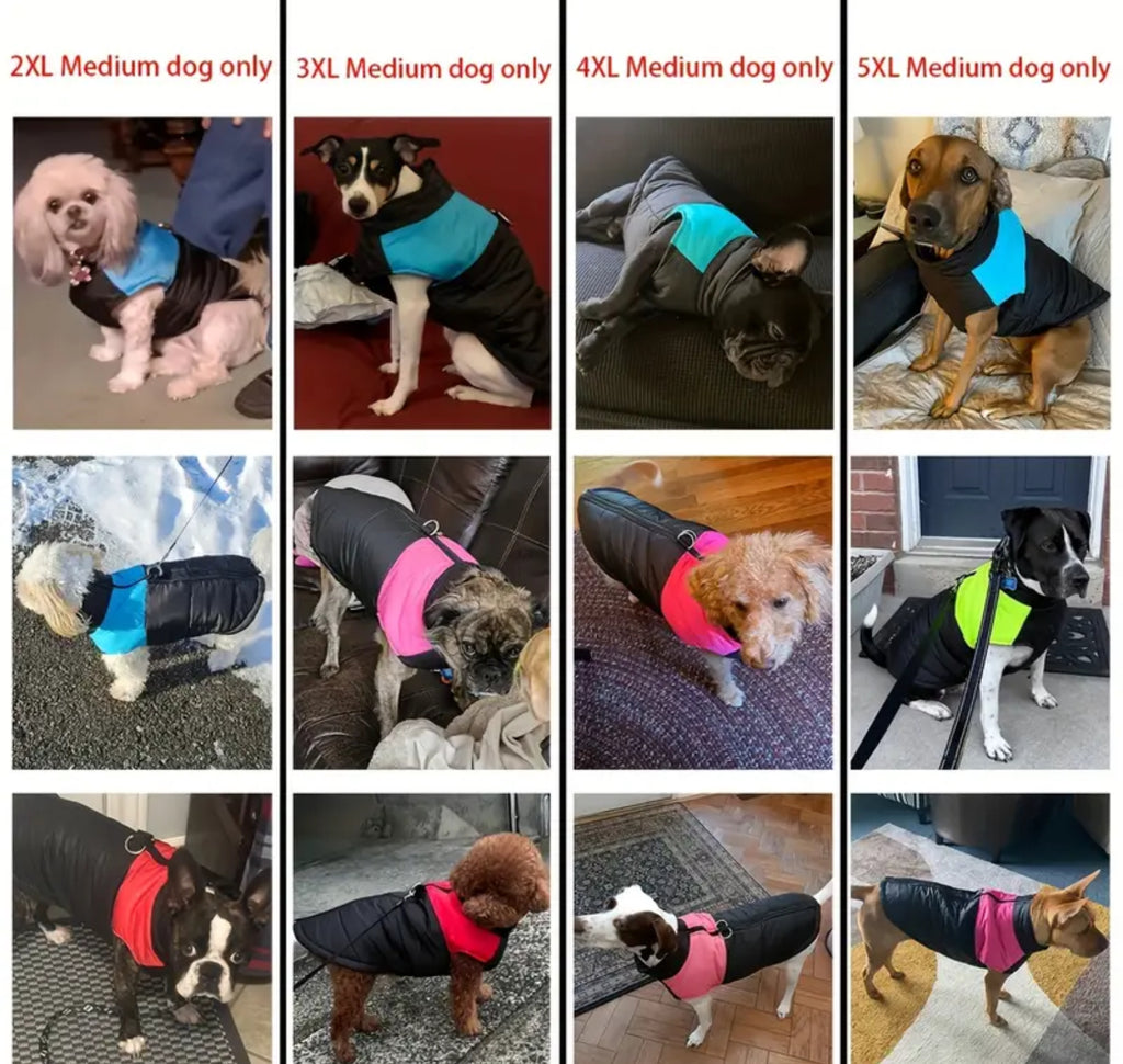 Winter Pet Dress Coat – Warm & Stylish Outfit for Dogs and Cats