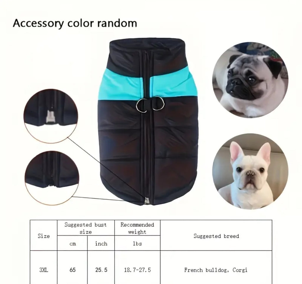 Winter Pet Dress Coat – Warm & Stylish Outfit for Dogs and Cats