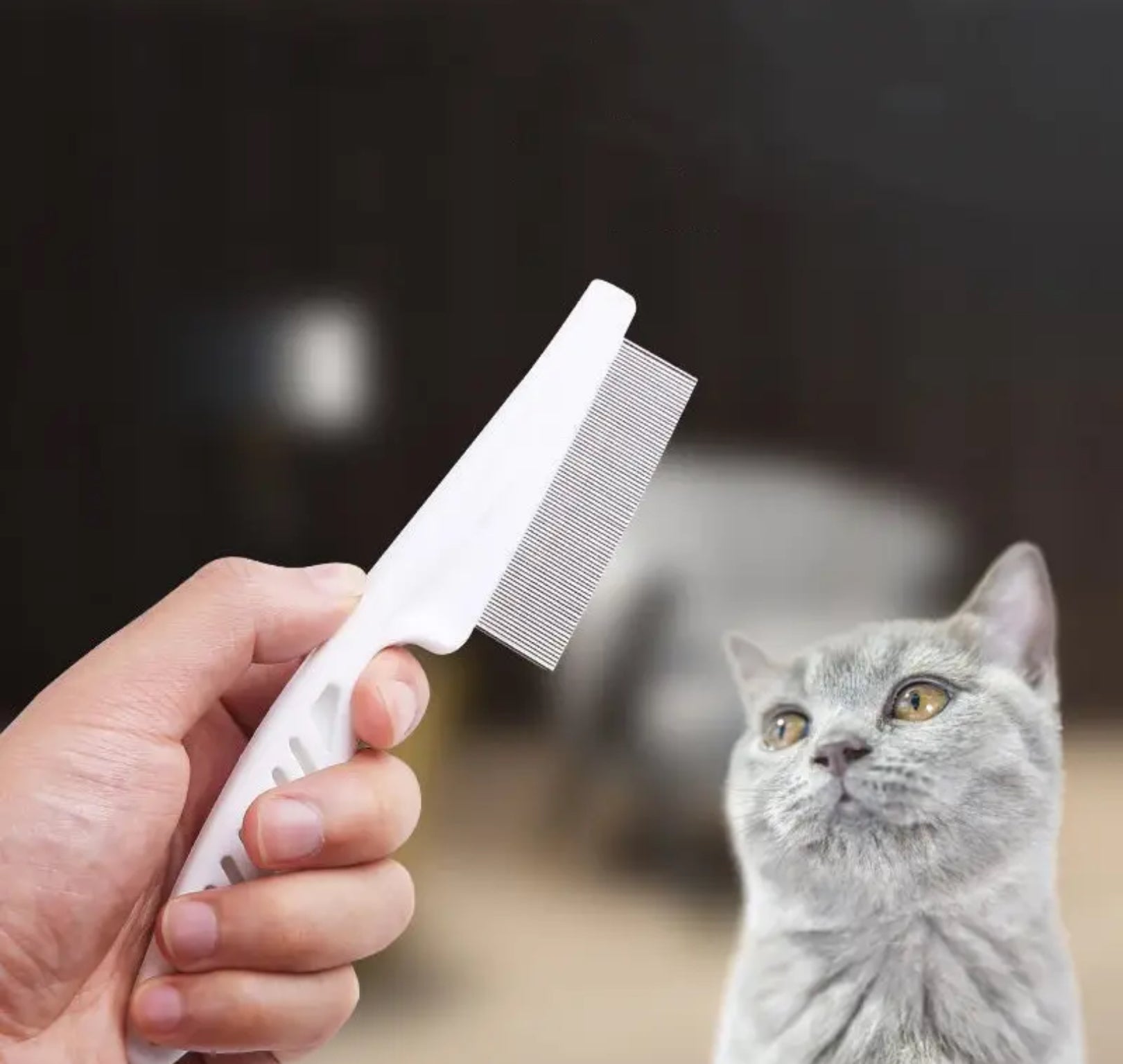 Pet Grooming Comb – Keep Your Dog or Cat’s Coat Healthy and Shiny