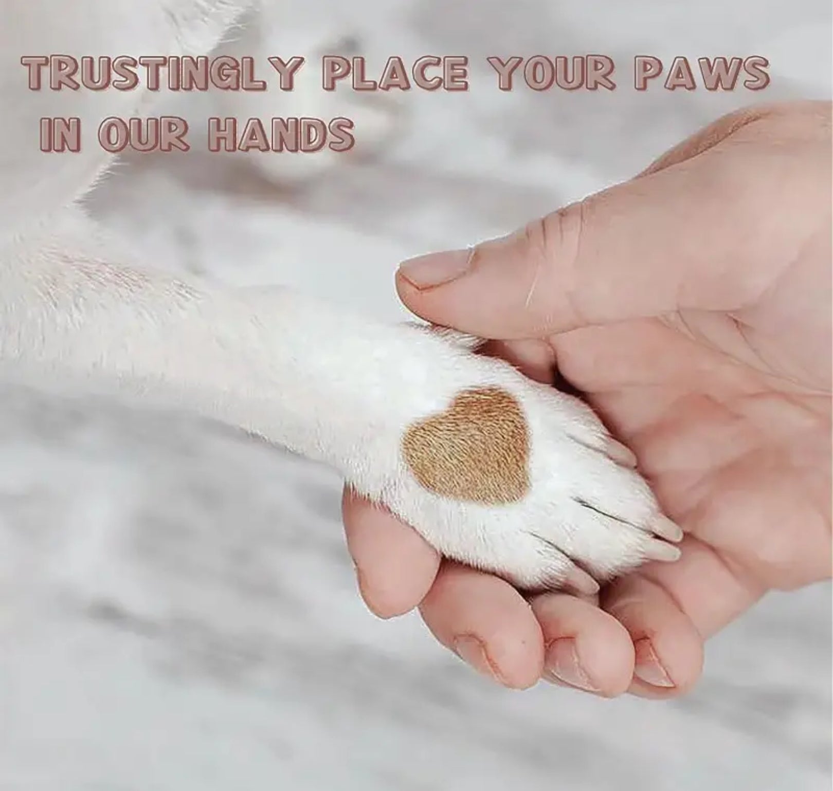 Stress-Free Dog Nail File – Natural Wood Handle & Soft Foam, Safe & Gentle Grinder for Puppies and Dogs
