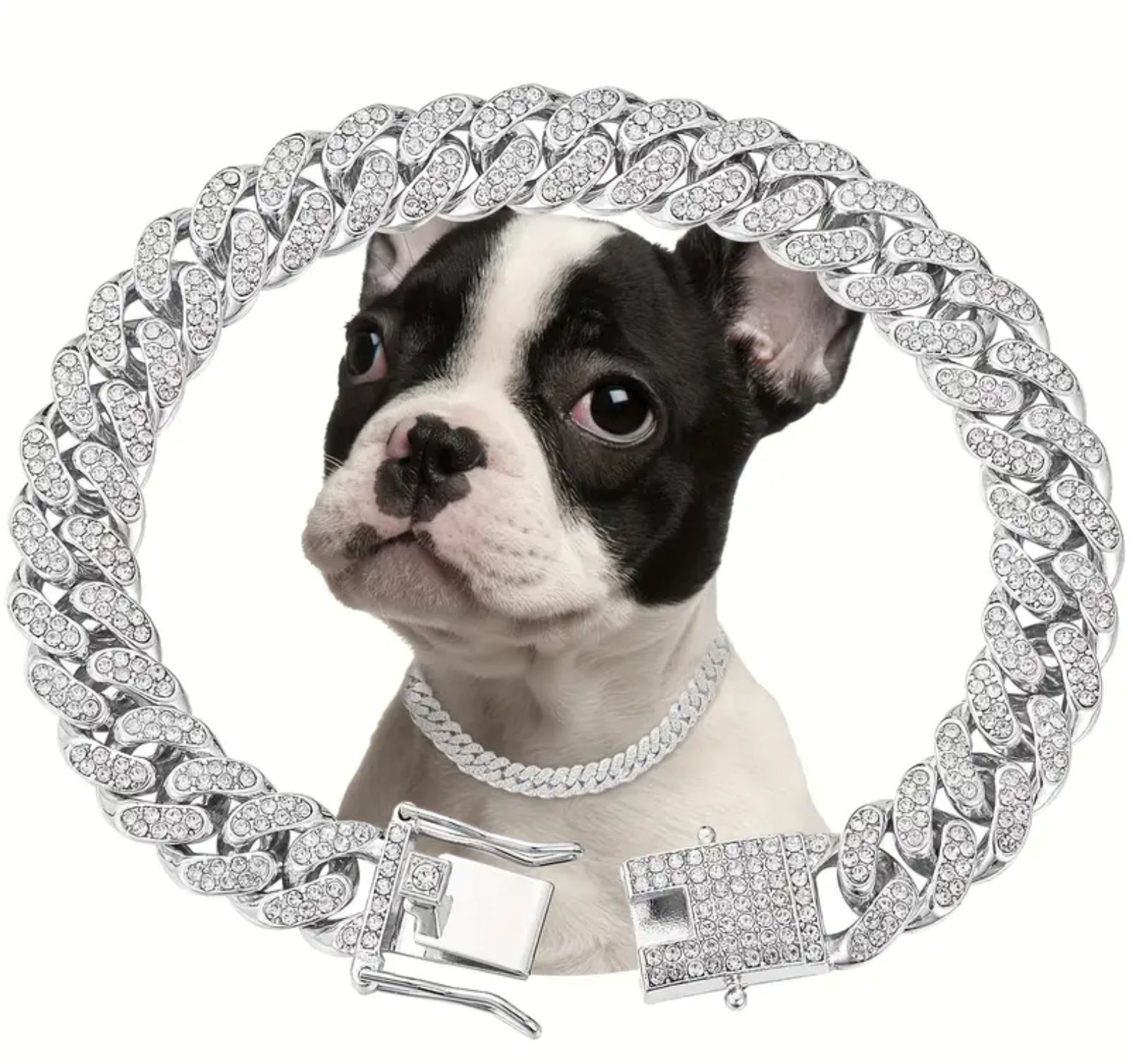 Sparkling Diamond Dog Collar – Stylish Metal Chain with Secure Buckle for Elegant Walks