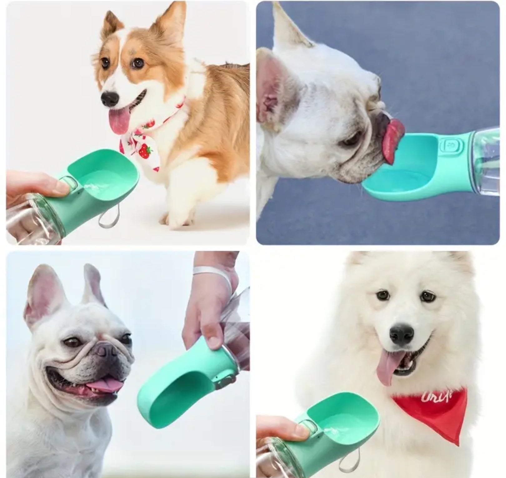 Leak-Proof Portable Dog Water Bottle – Perfect for Outdoor Adventures