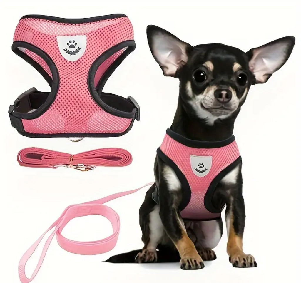 Reflective Mesh Harness & Leash Set for Pets