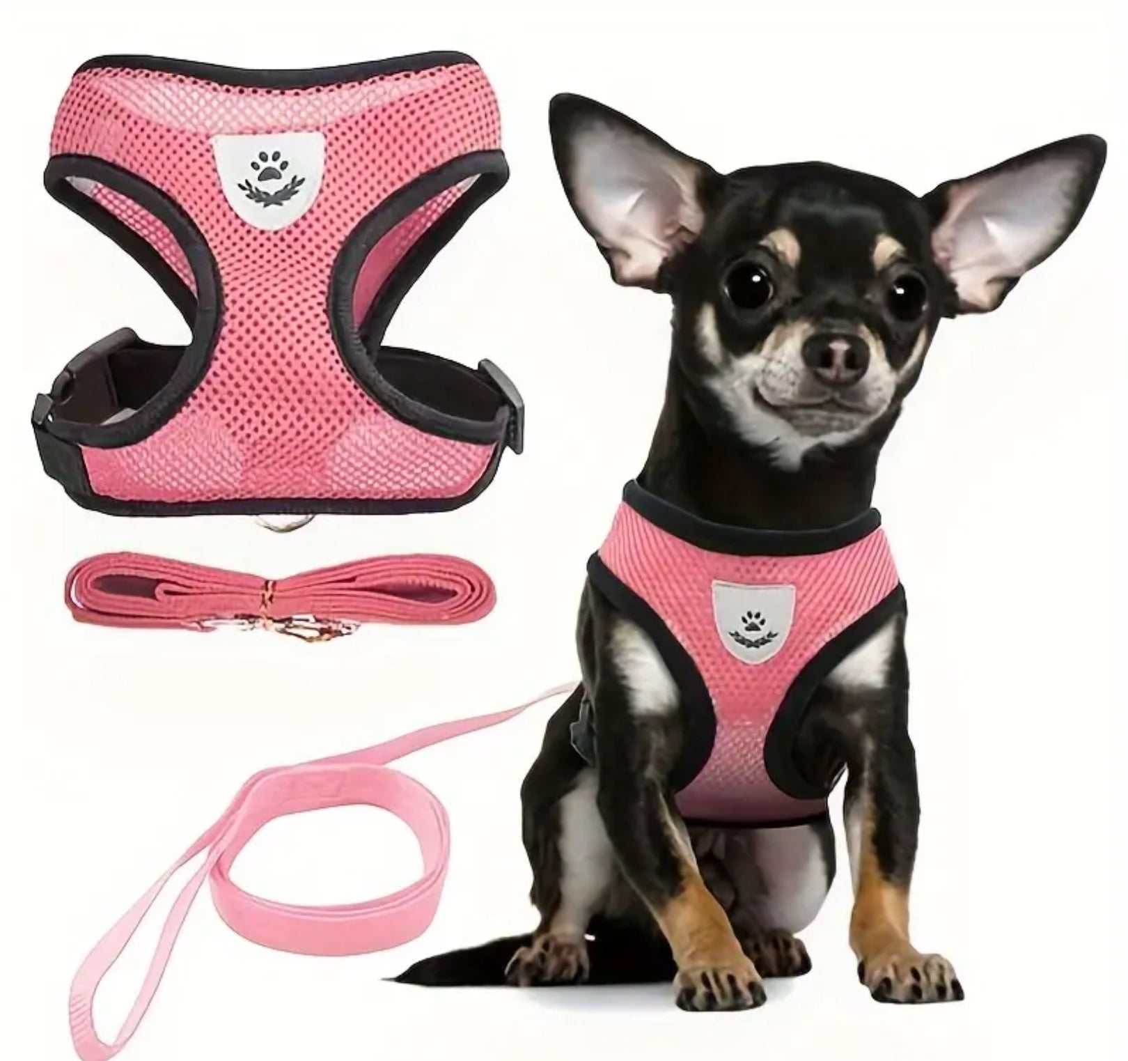Reflective Mesh Harness & Leash Set for Pets