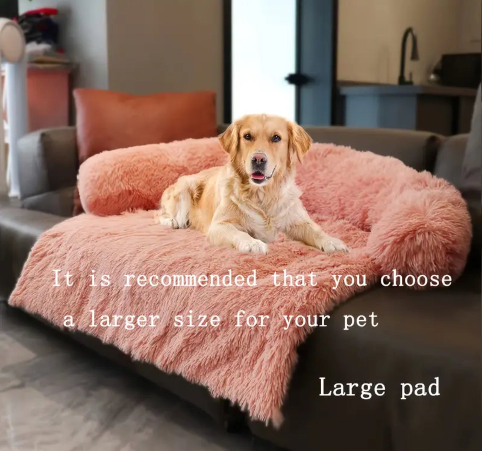 Plush Sofa Bed for Pets – With Neck Cushion & Furniture Protection