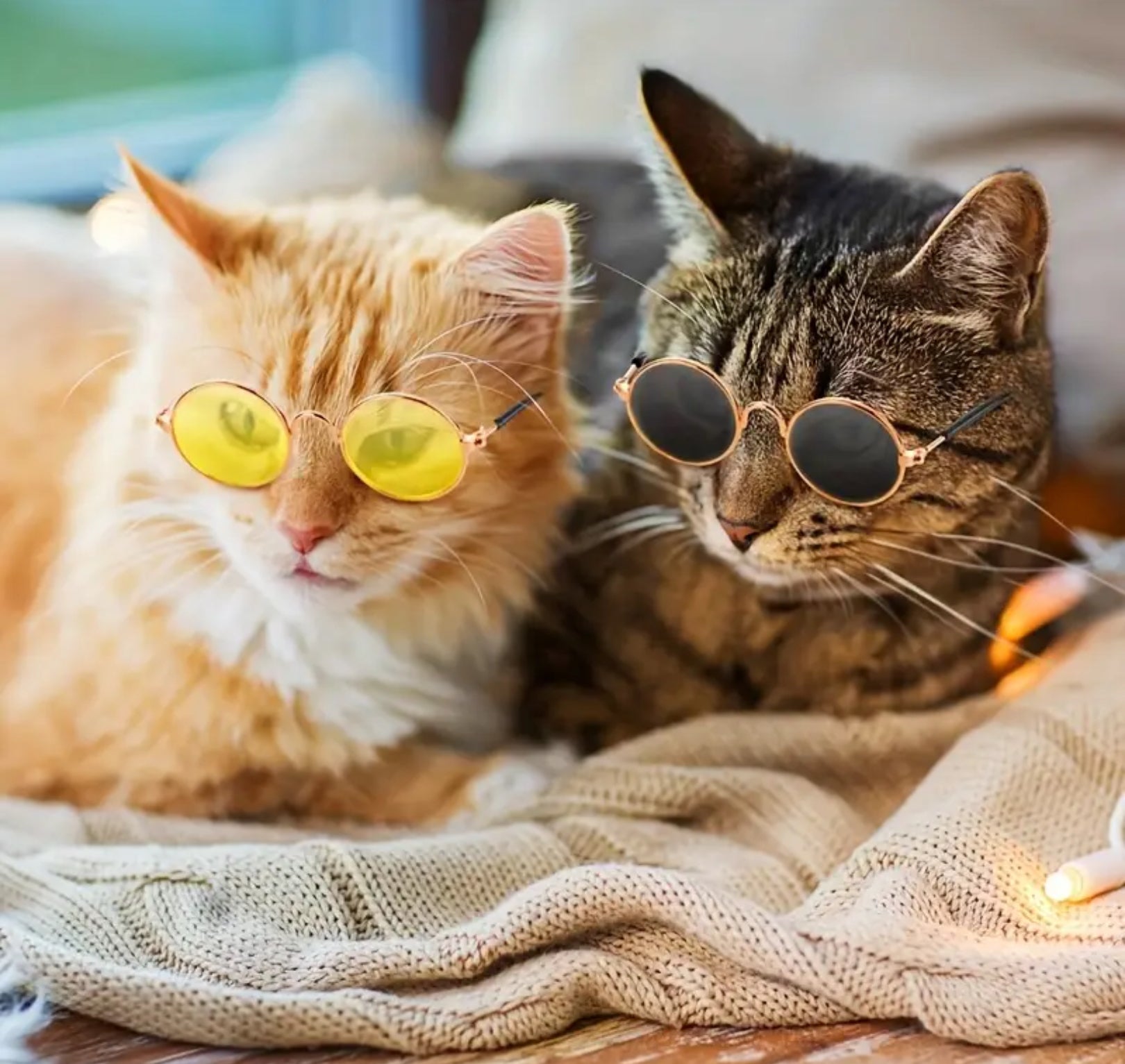 Pet Sunglasses 4-Pack – Retro Round Glasses for Cats & Small Dogs