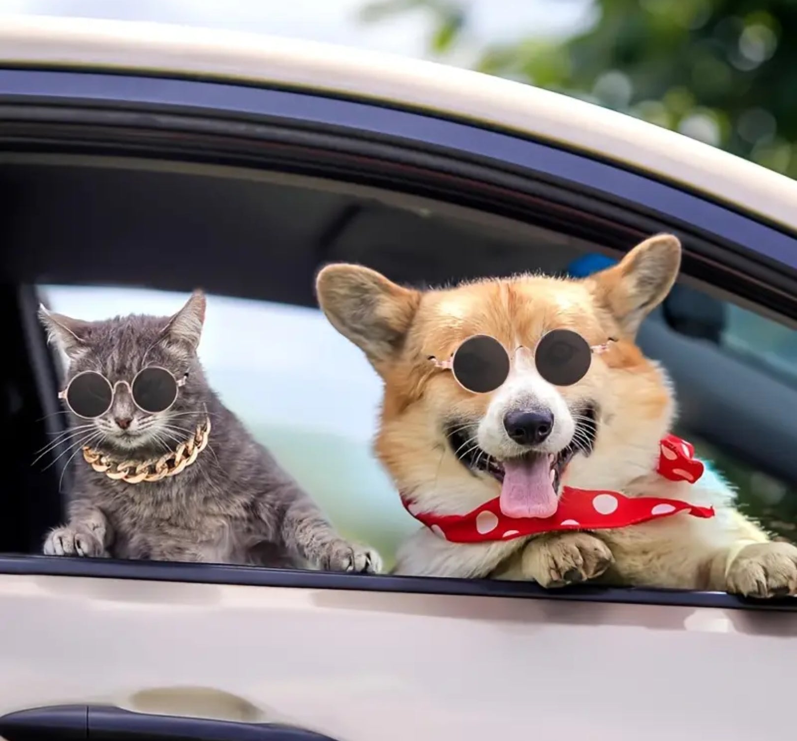 Pet Sunglasses 4-Pack – Retro Round Glasses for Cats & Small Dogs