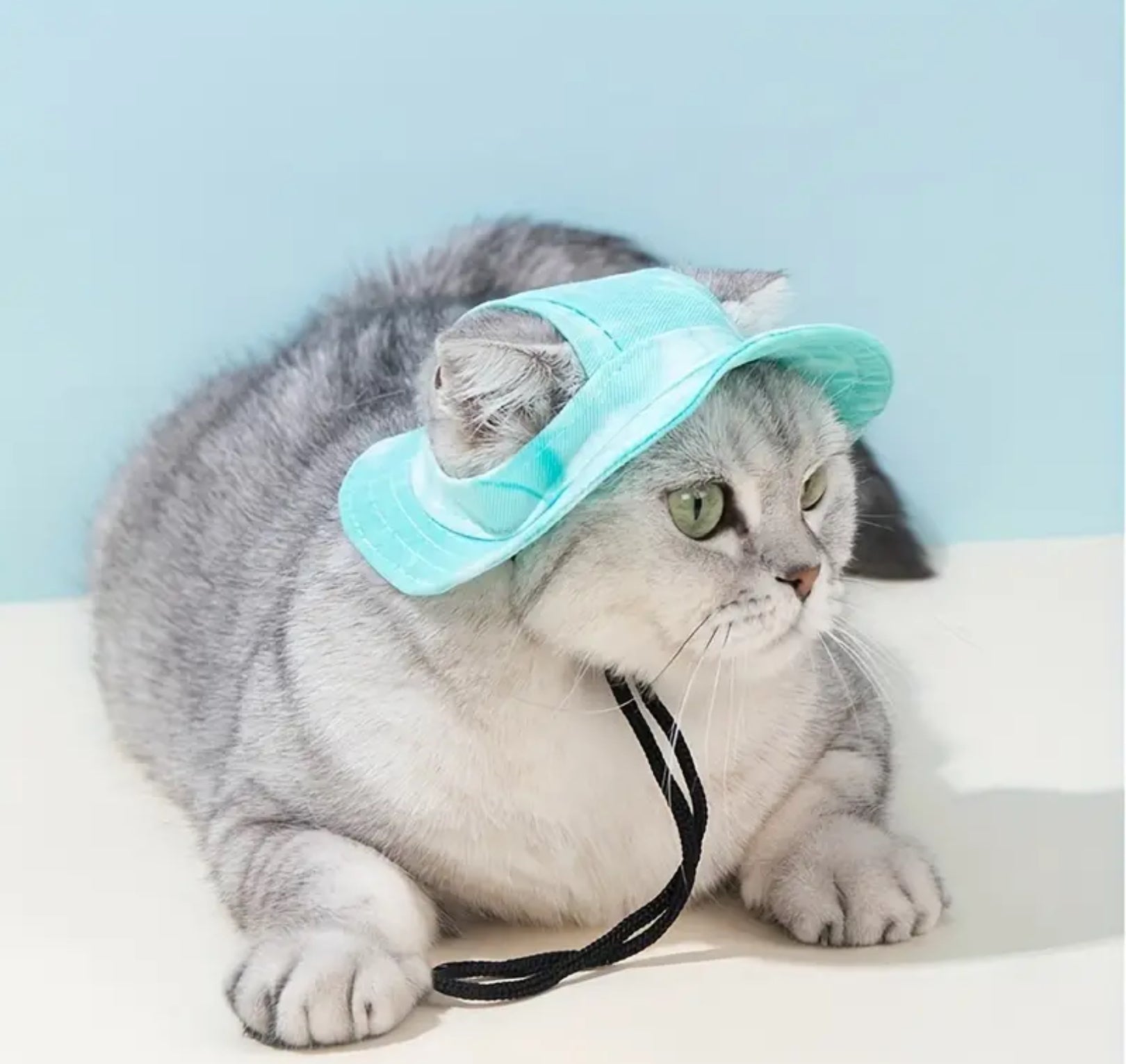 Pet Sun Hat with UV Protection – Adjustable & Breathable for Small Dogs & Cats