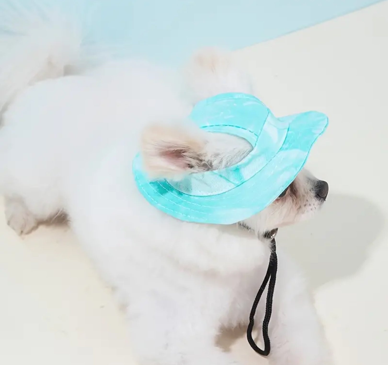Pet Sun Hat with UV Protection – Adjustable & Breathable for Small Dogs & Cats