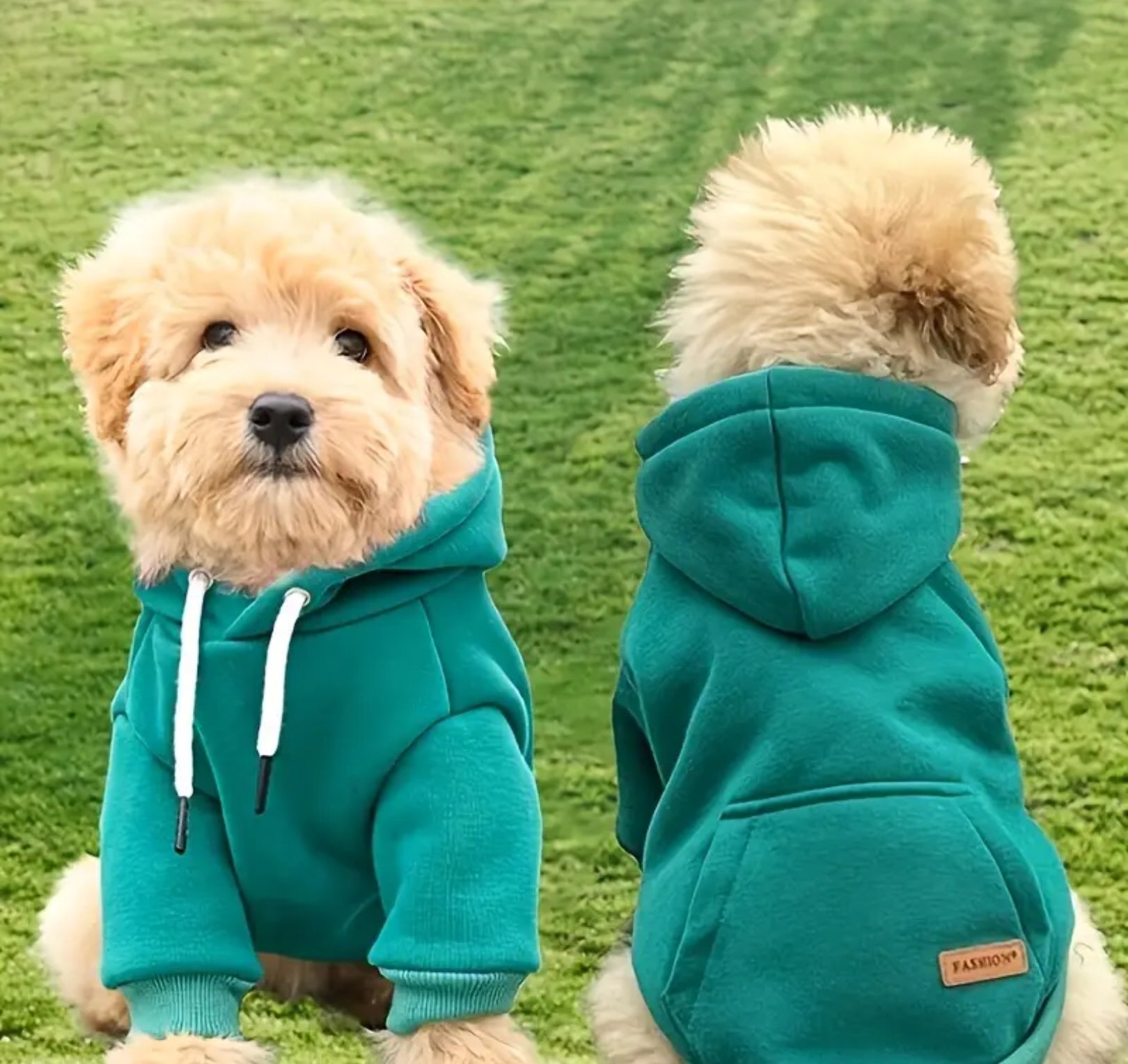 Small Dog Hoodie – Soft Polyester Knit Pullover for Chilly Days