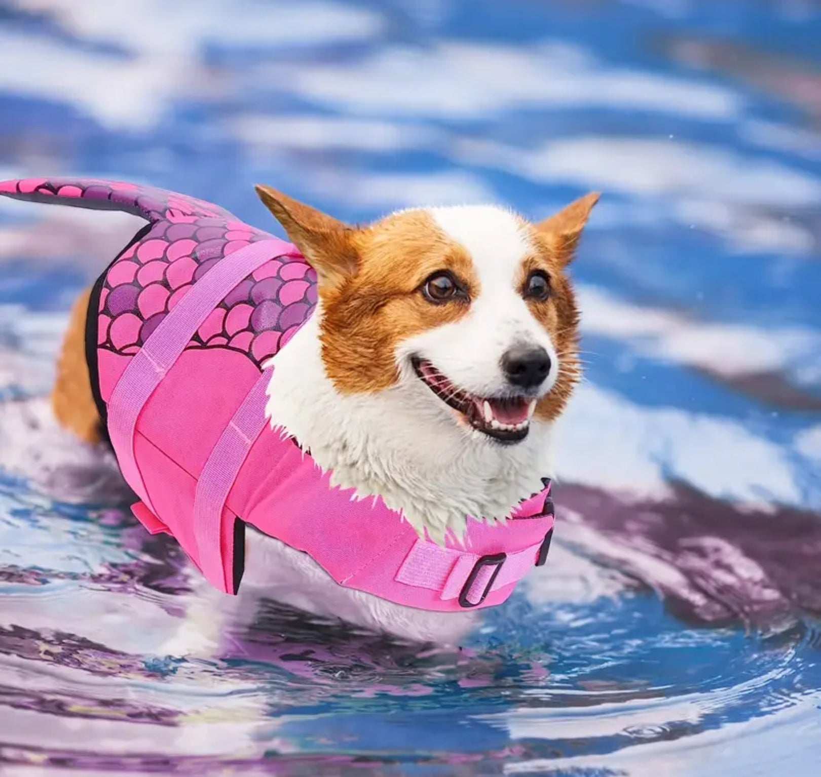Pink Mermaid Shark Swimsuit for Dogs – Adjustable & Washable Pet Summer Outfit