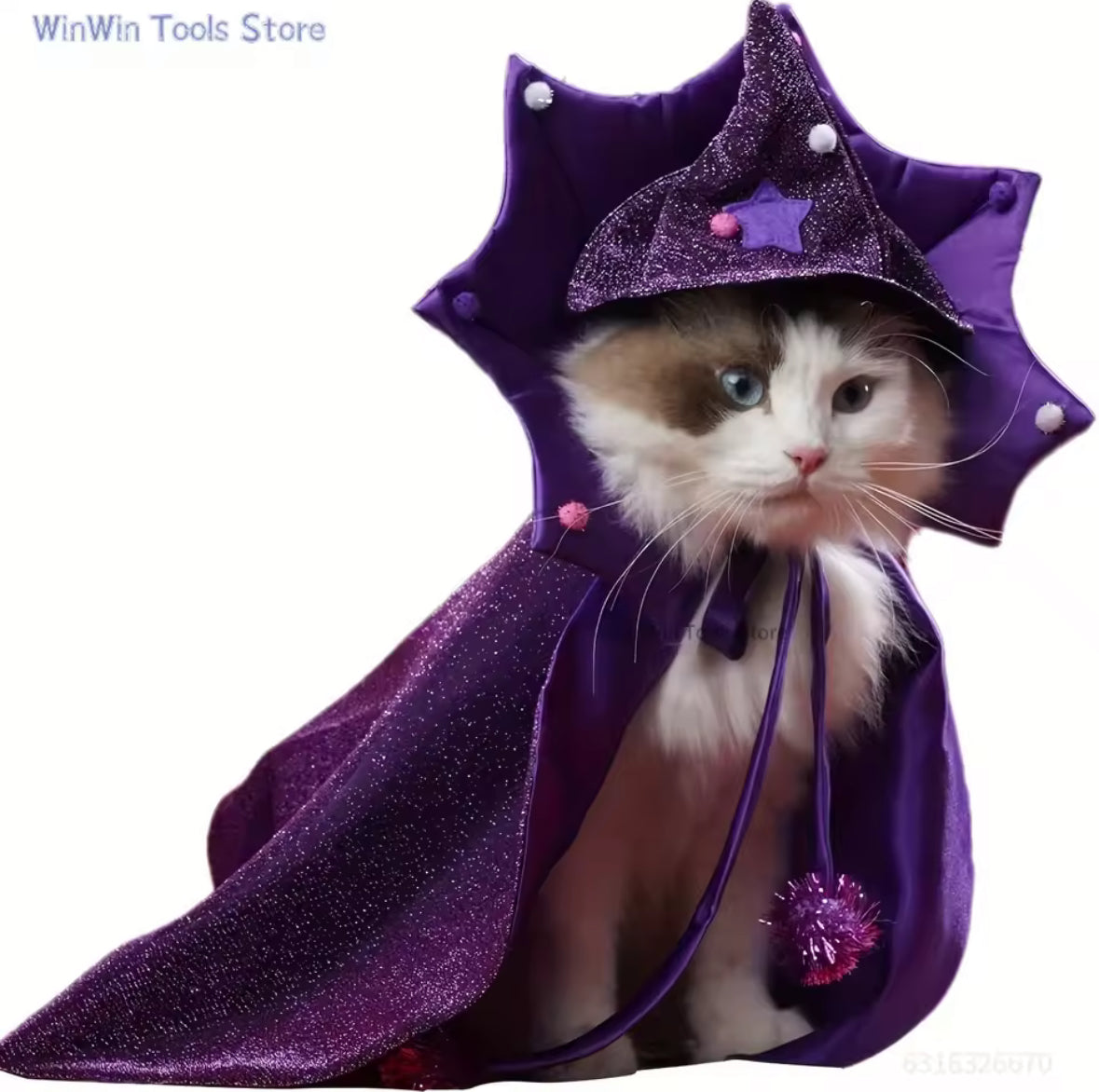 🧙‍♀️ Pet Witch Costume – Magical Fancy Dress for Cats and Dogs
