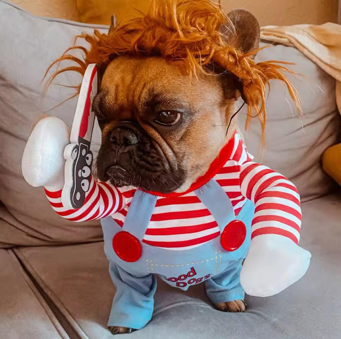🔪 Pet Chucky Costume – Horror Fancy Dress for Cats and Dogs