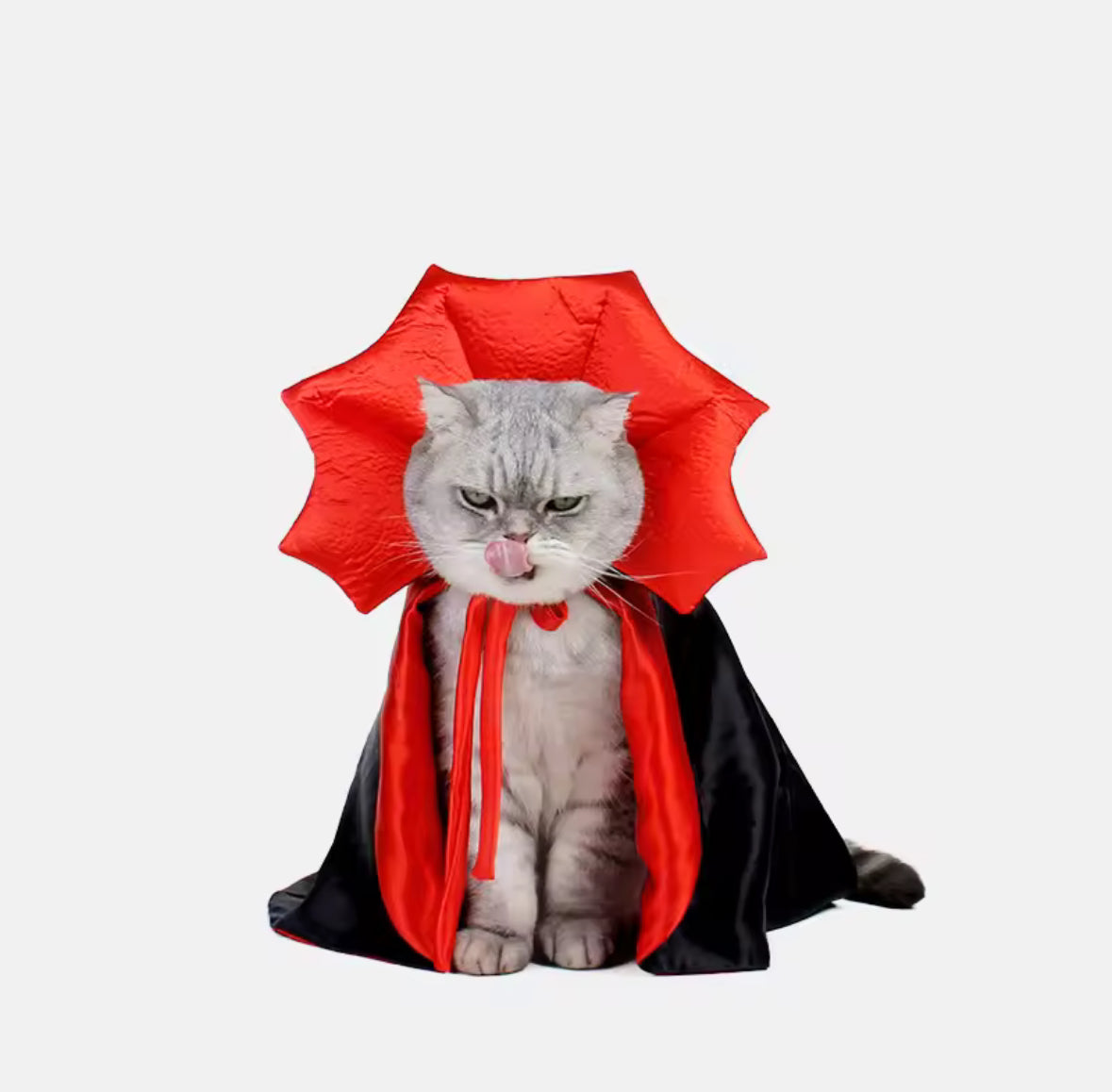🧛‍♂️ Dracula Cloak for Pets – Gothic Fancy Dress for Cats & Dogs