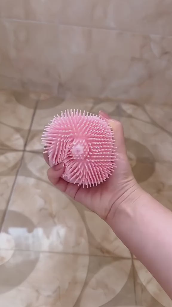 Pet Shampoo Brush – Silicone Massage Bath Brush with Built-In Shampoo Dispenser for Dogs & Cats