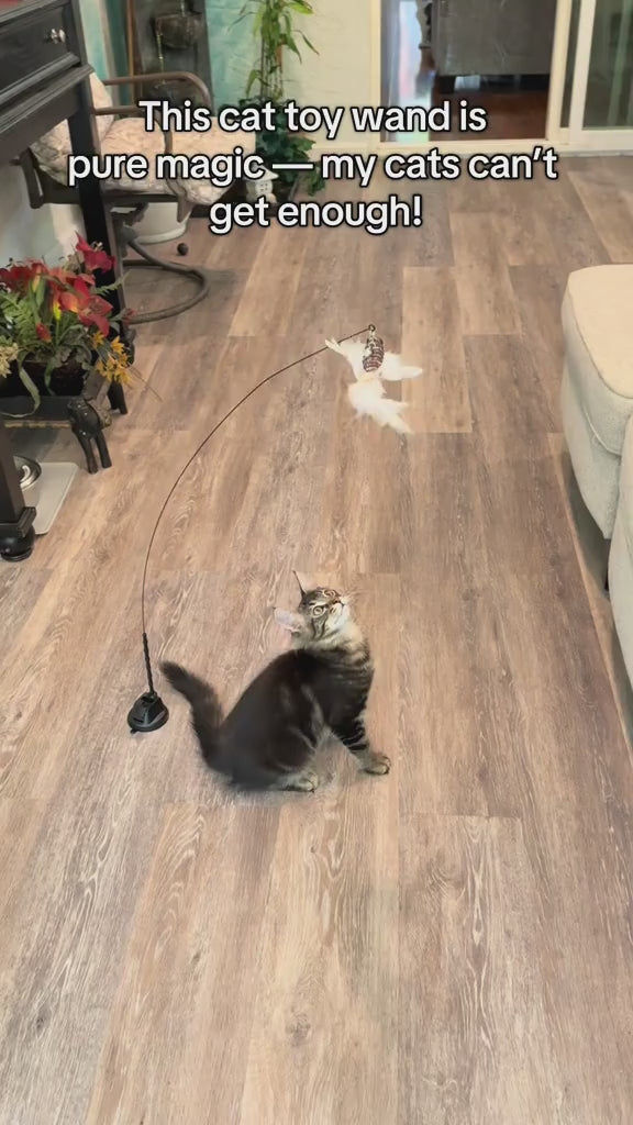 Interactive Cat Wand Toy Set with Realistic Birds – Hands-Free Dual Rod, Bell & Suction Base for Active Play and Hunting Training