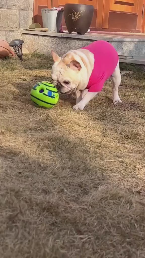 Interactive Voice Ball Toy for Pets – Battery-Free IQ Training Ball for Dogs