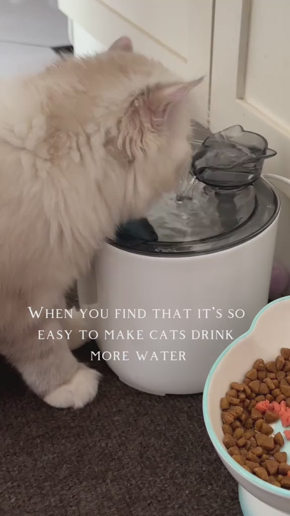 2.2L Cat Water Fountain – Ultra-Quiet USB Pet Water Dispenser with Cute Cat Spout, No Battery Required